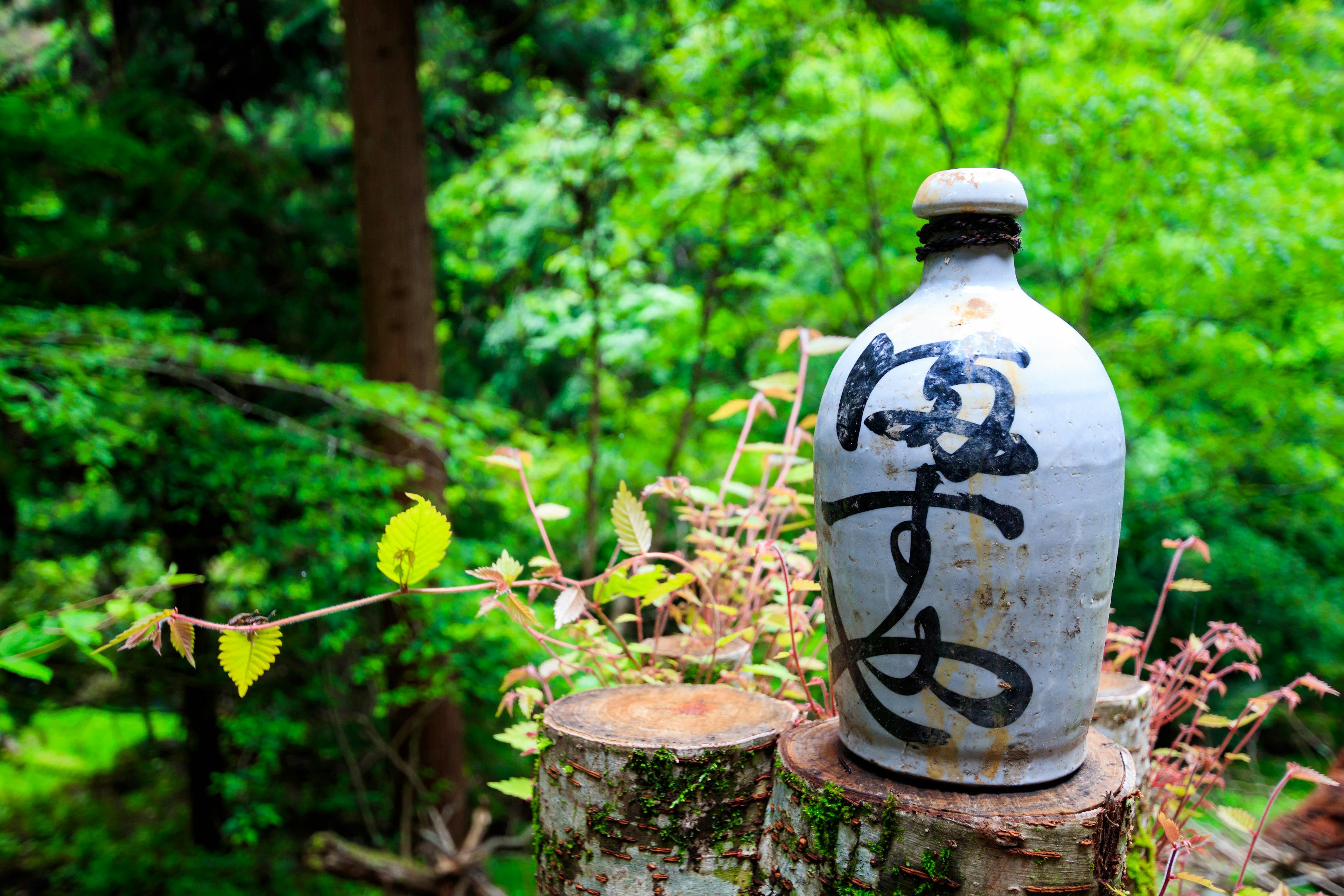 Una botella con texto negro colocada sobre un tronco en un bosque verde