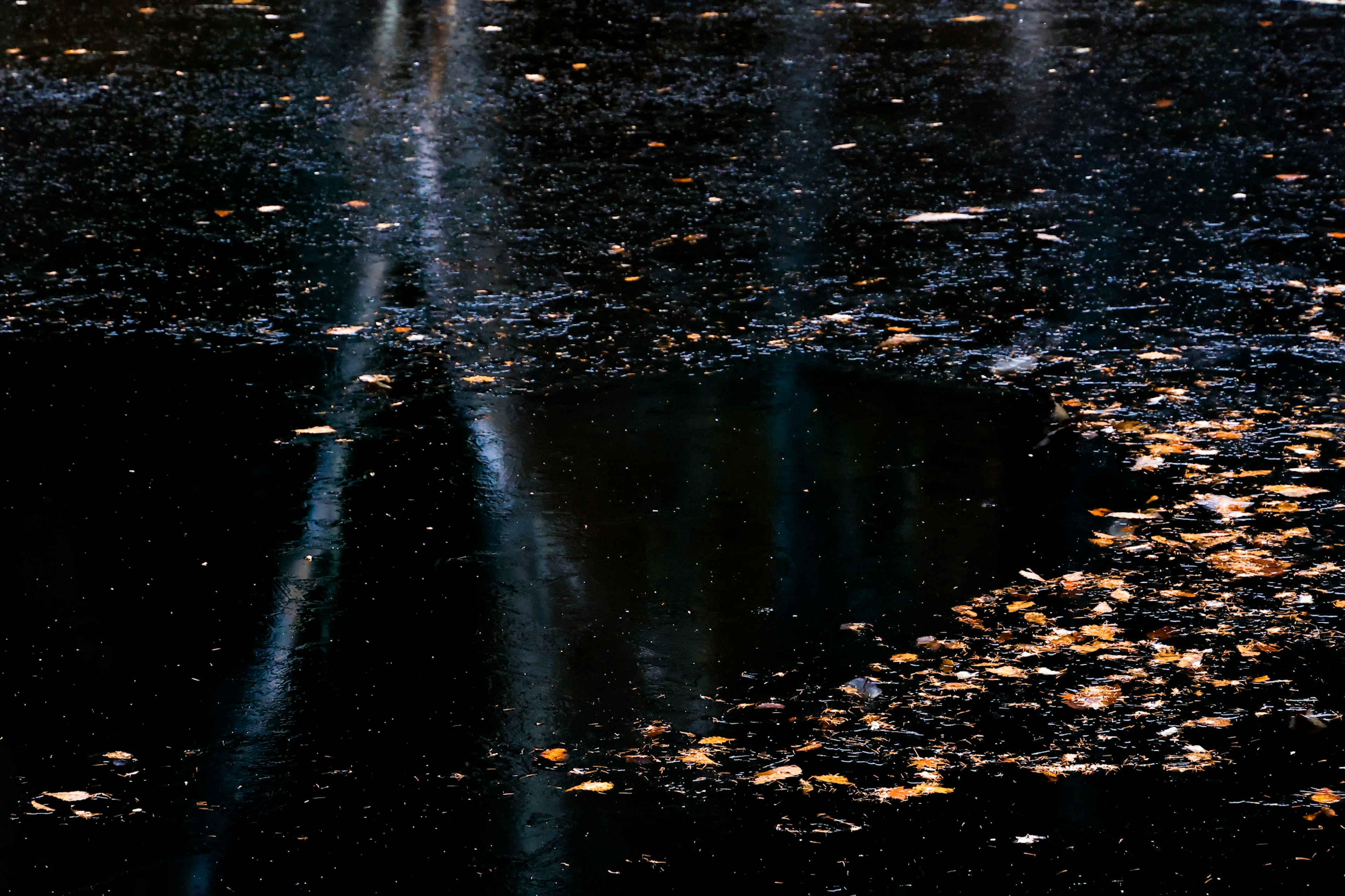 Une surface sombre avec des flaques d'eau et des feuilles éparpillées