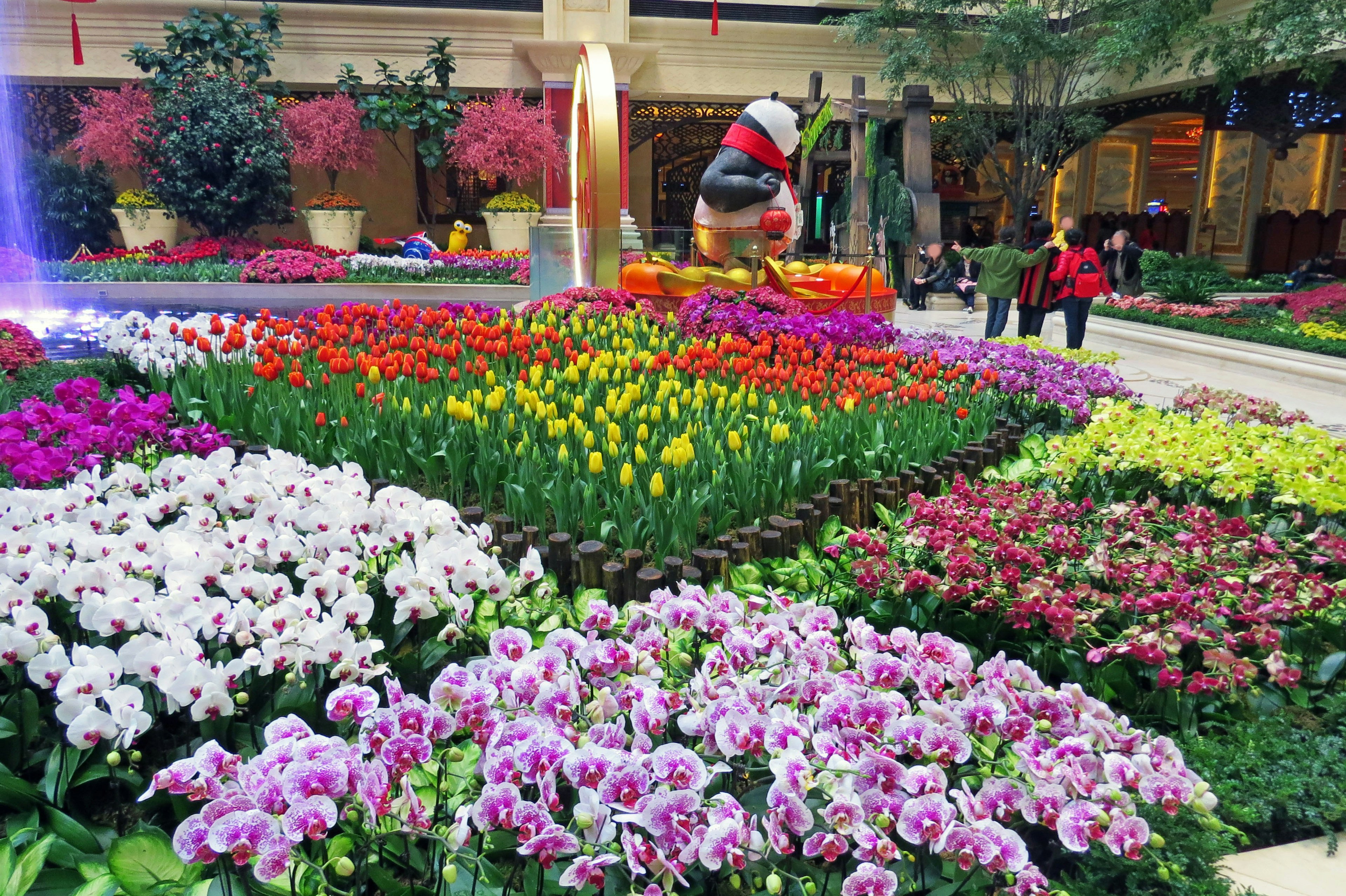 Vibrant flower garden featuring tulips and orchids with people walking