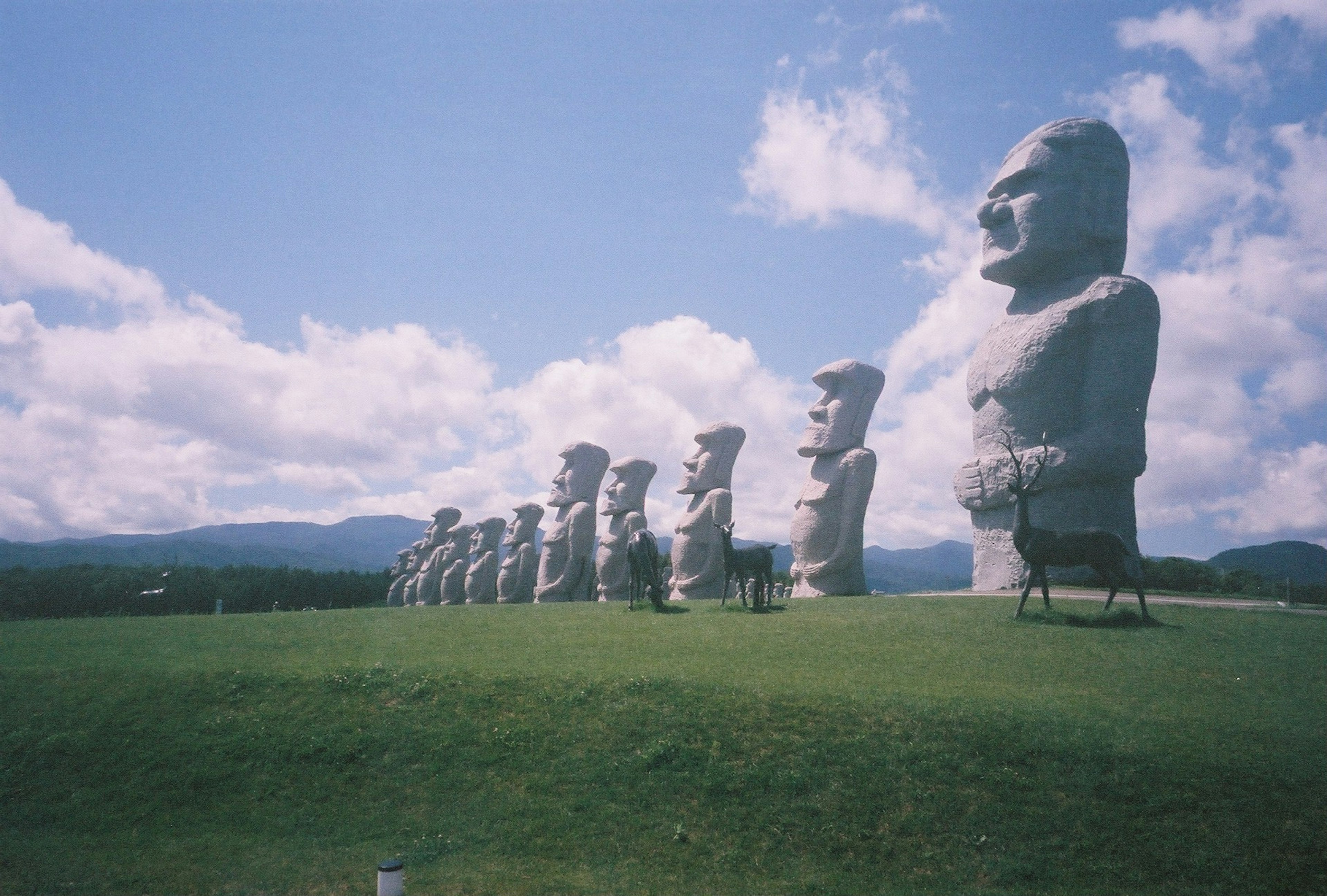 แถวของรูปปั้นโมอายบนเกาะอีสเตอร์ใต้ท้องฟ้าสีฟ้าพร้อมเมฆขาวและหญ้าสีเขียว