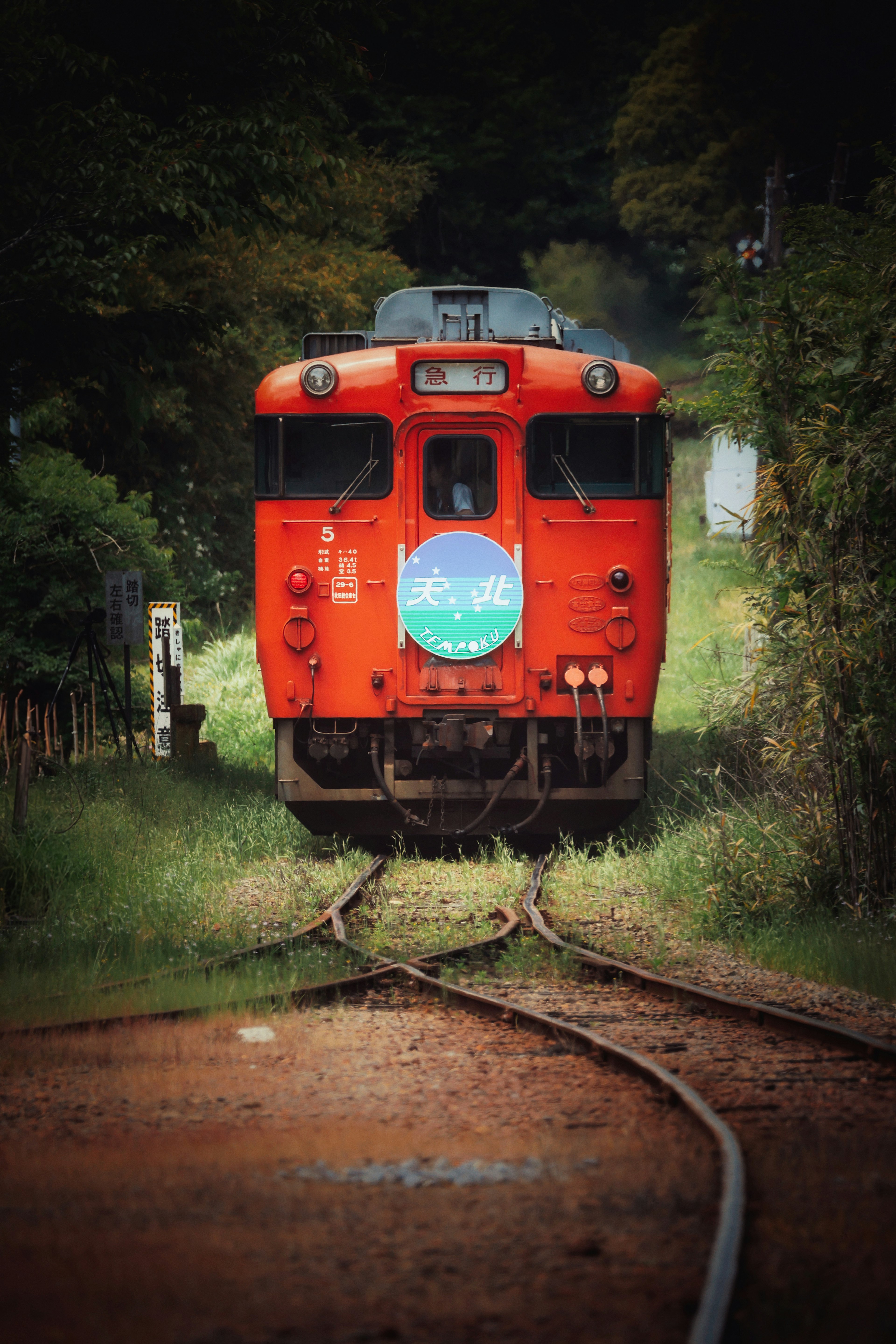 Red train approaching on tracks with green foliage in the background