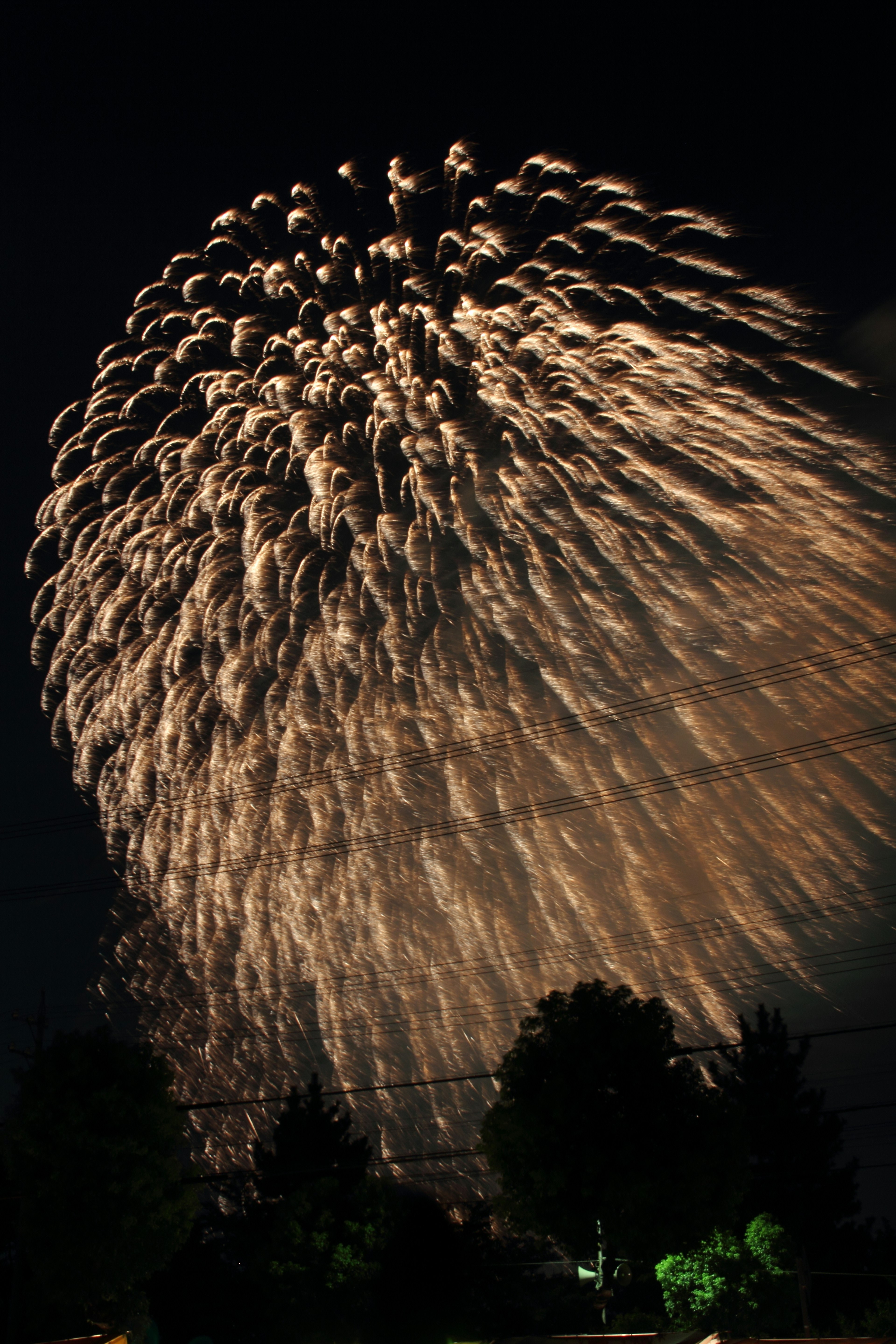 Bella esplosione di fuochi d'artificio nel cielo notturno