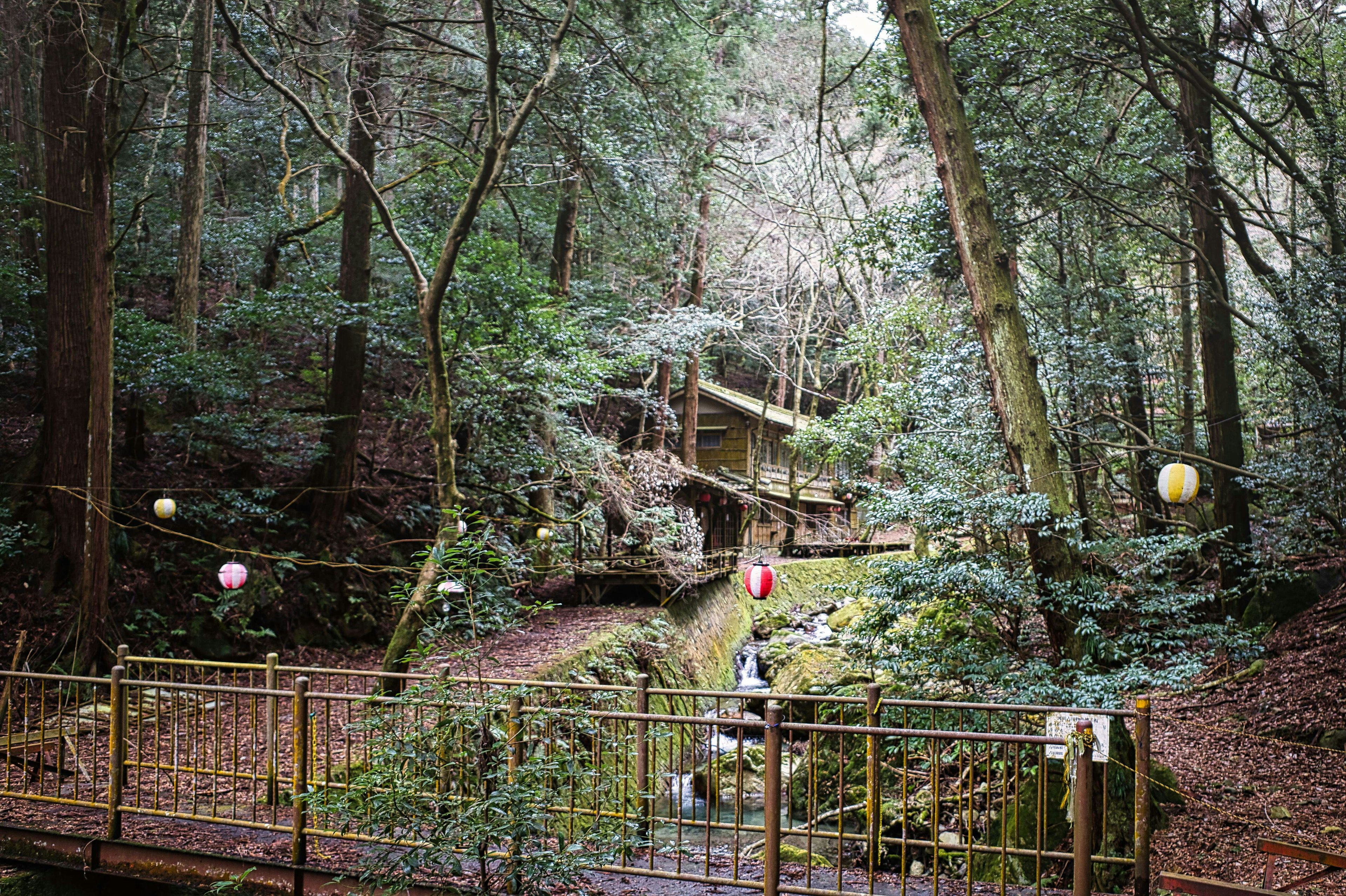 Ein Weg und eine Brücke in einem üppigen grünen Wald geschmückt mit bunten Laternen