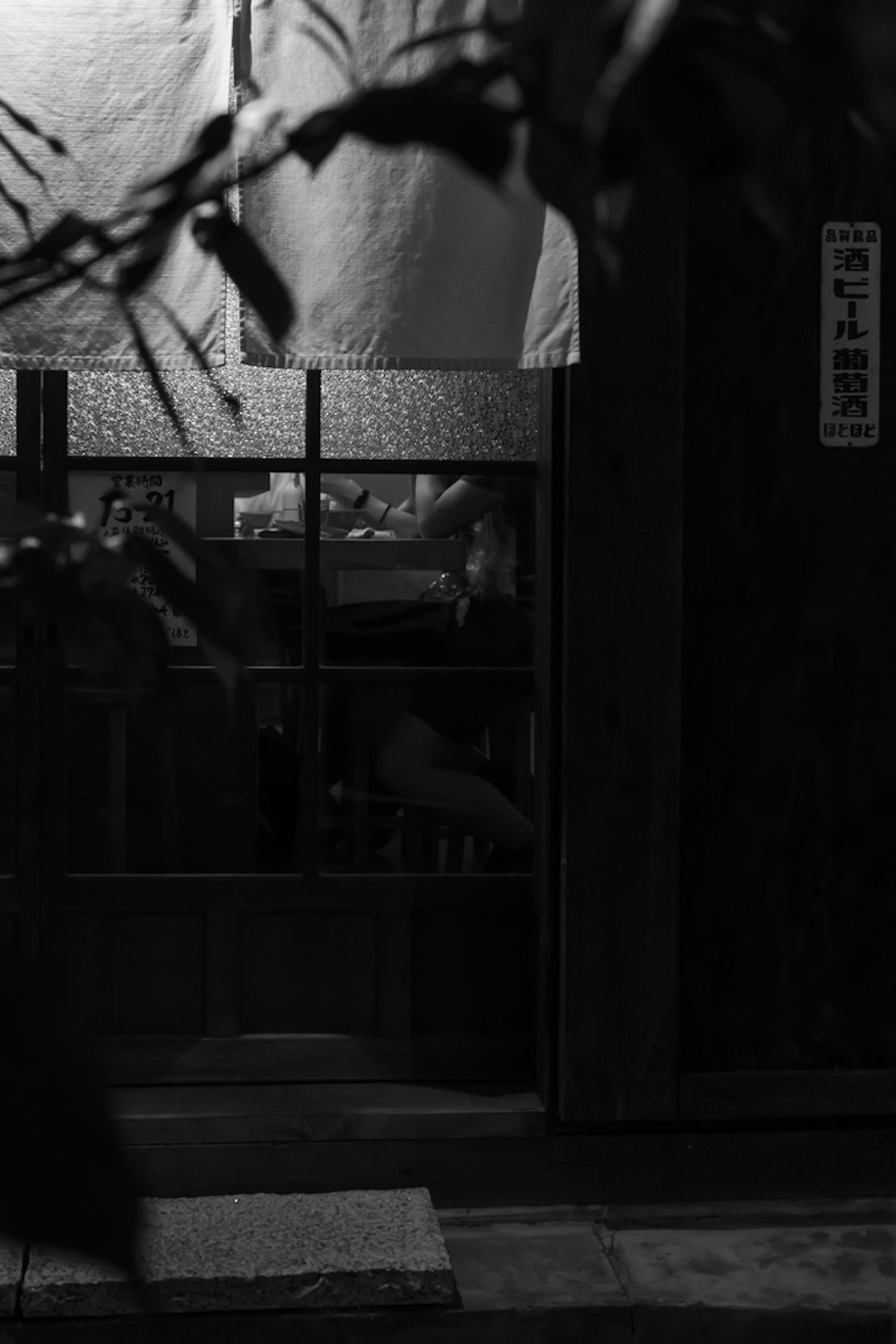 Black and white serene street scene Traditional Japanese building window Plant shadows