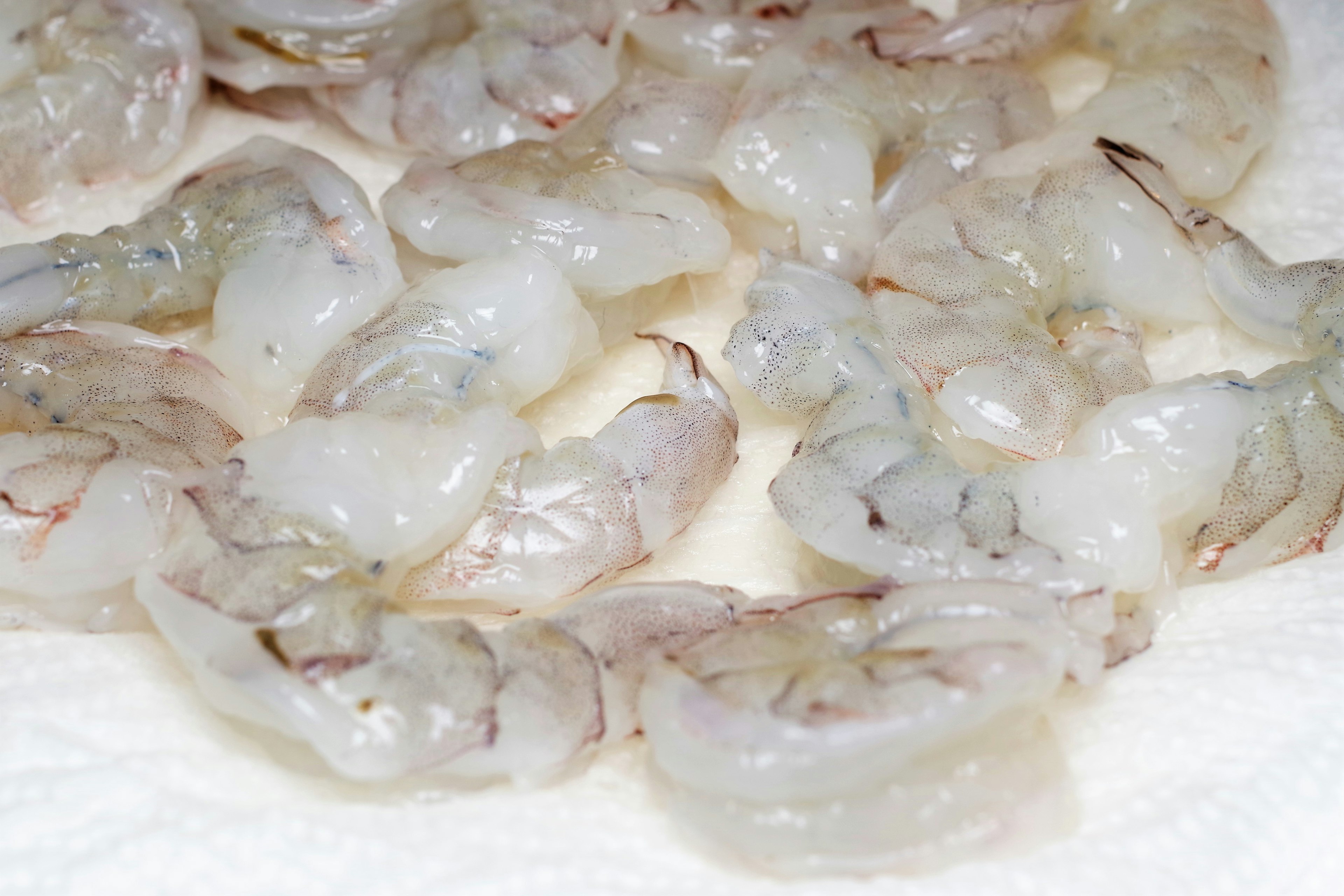 Raw white shrimp arranged on a paper towel