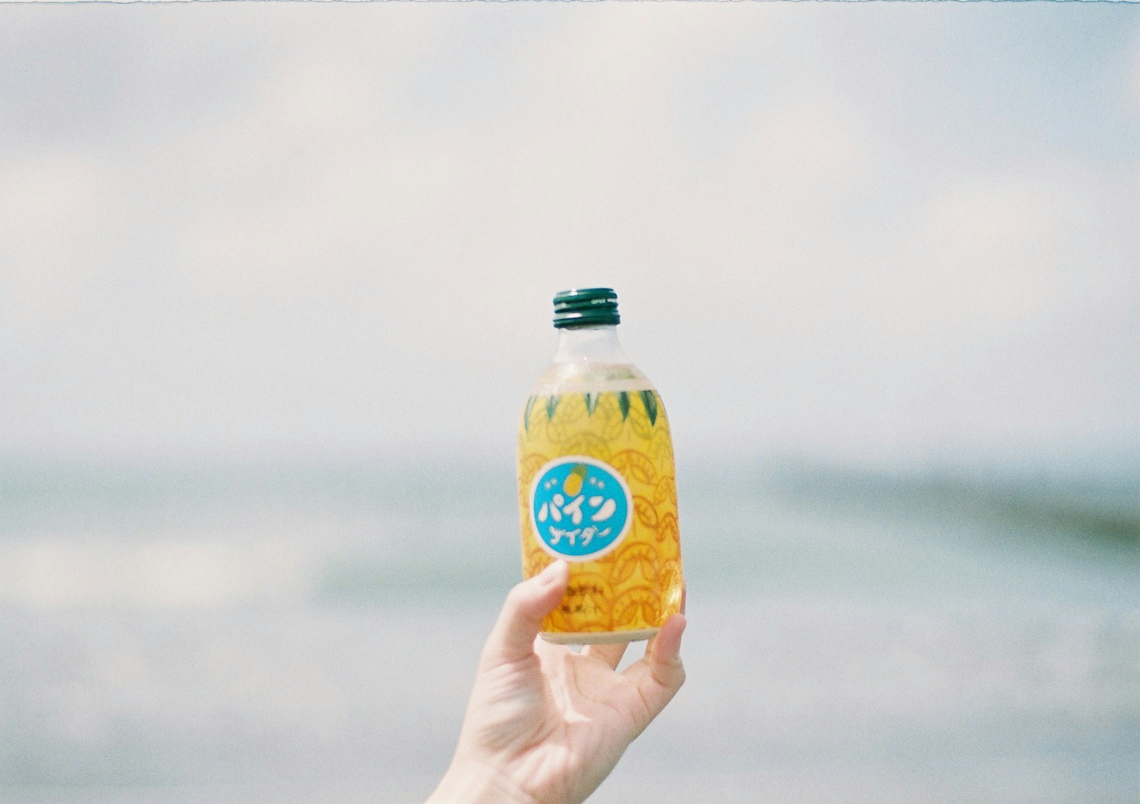 Bouteille de boisson au goût d'ananas tenue devant une plage