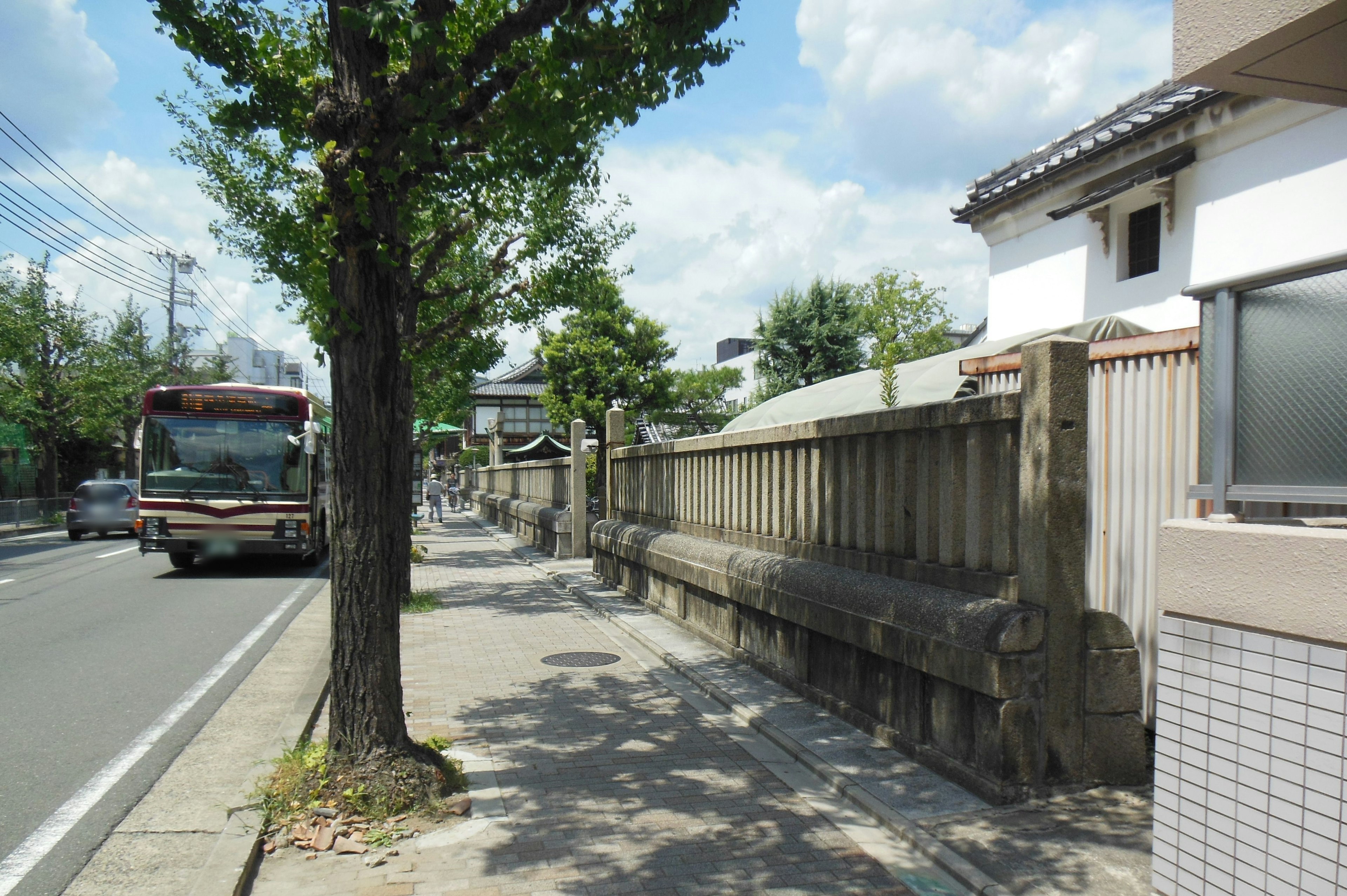 A large tree on the sidewalk next to a road with a bus