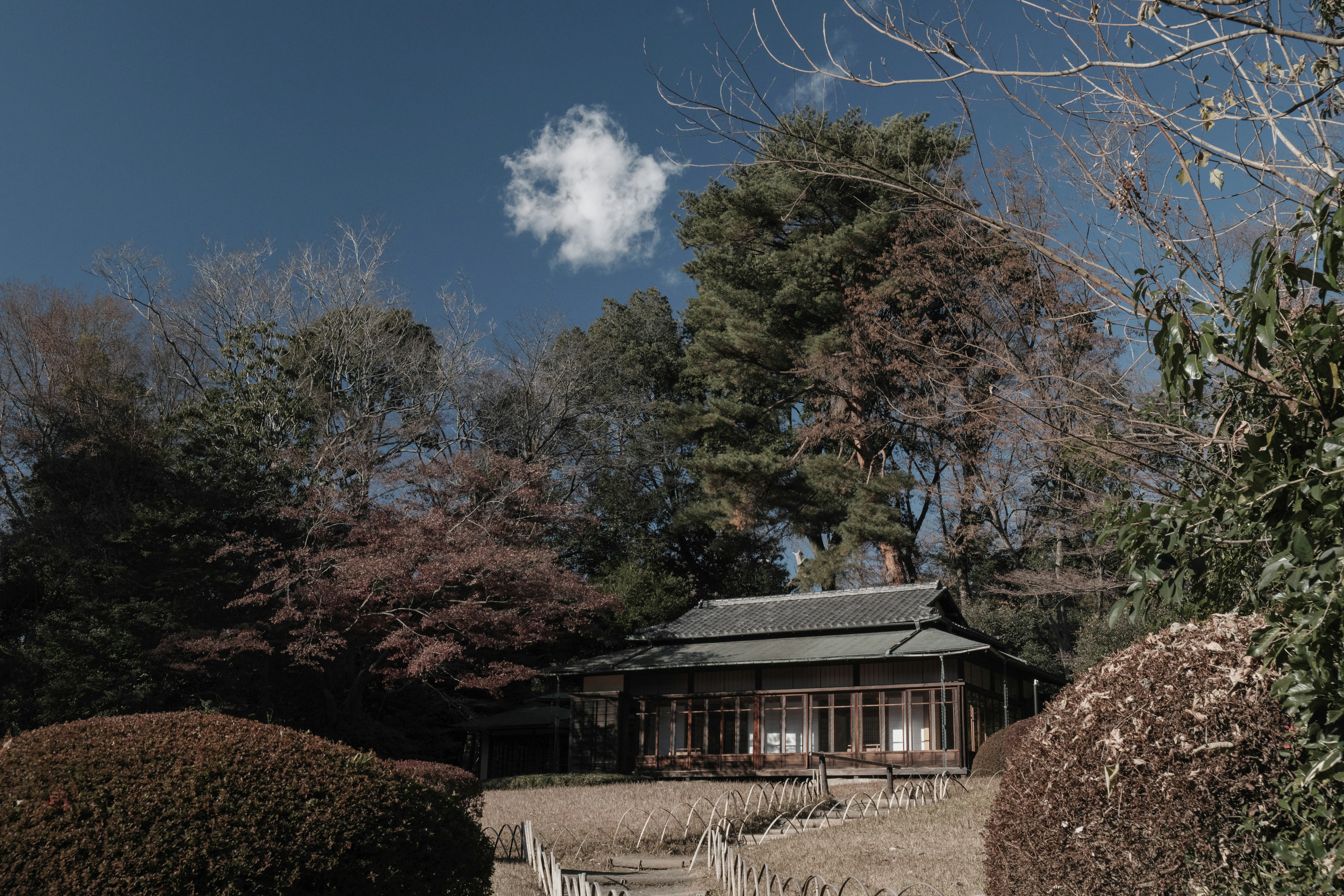 Traditionelles japanisches Haus umgeben von einem schönen Garten