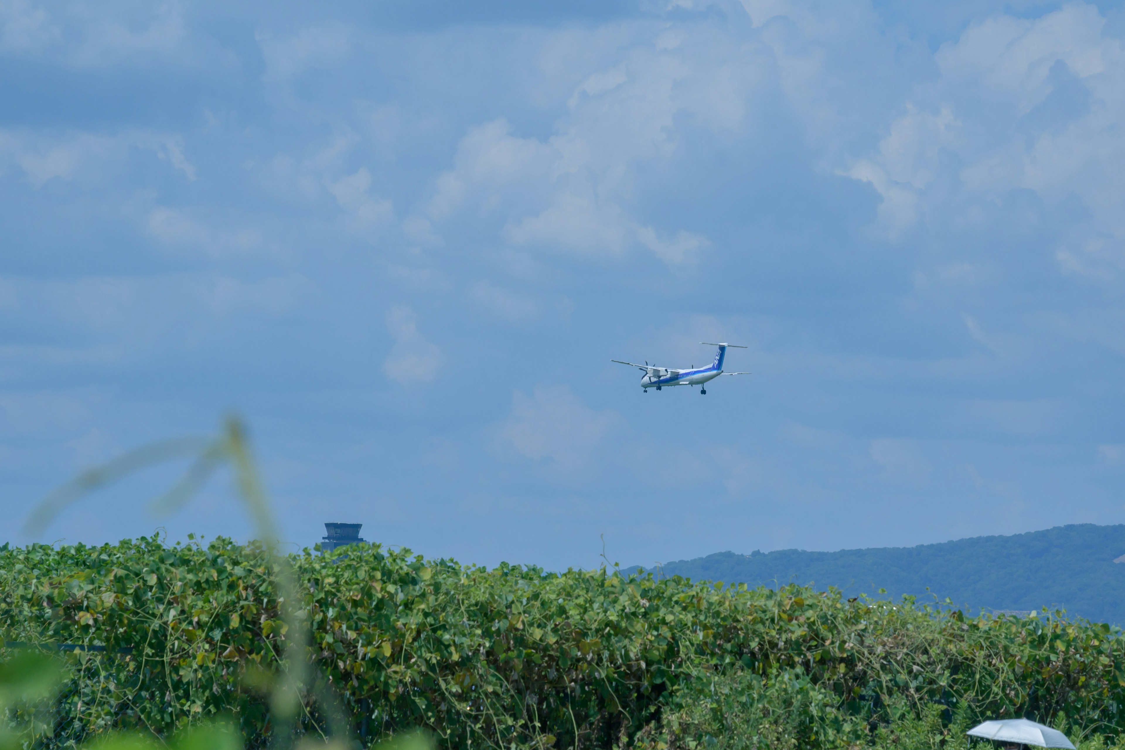 Sebuah pesawat terbang di langit biru di atas ladang hijau