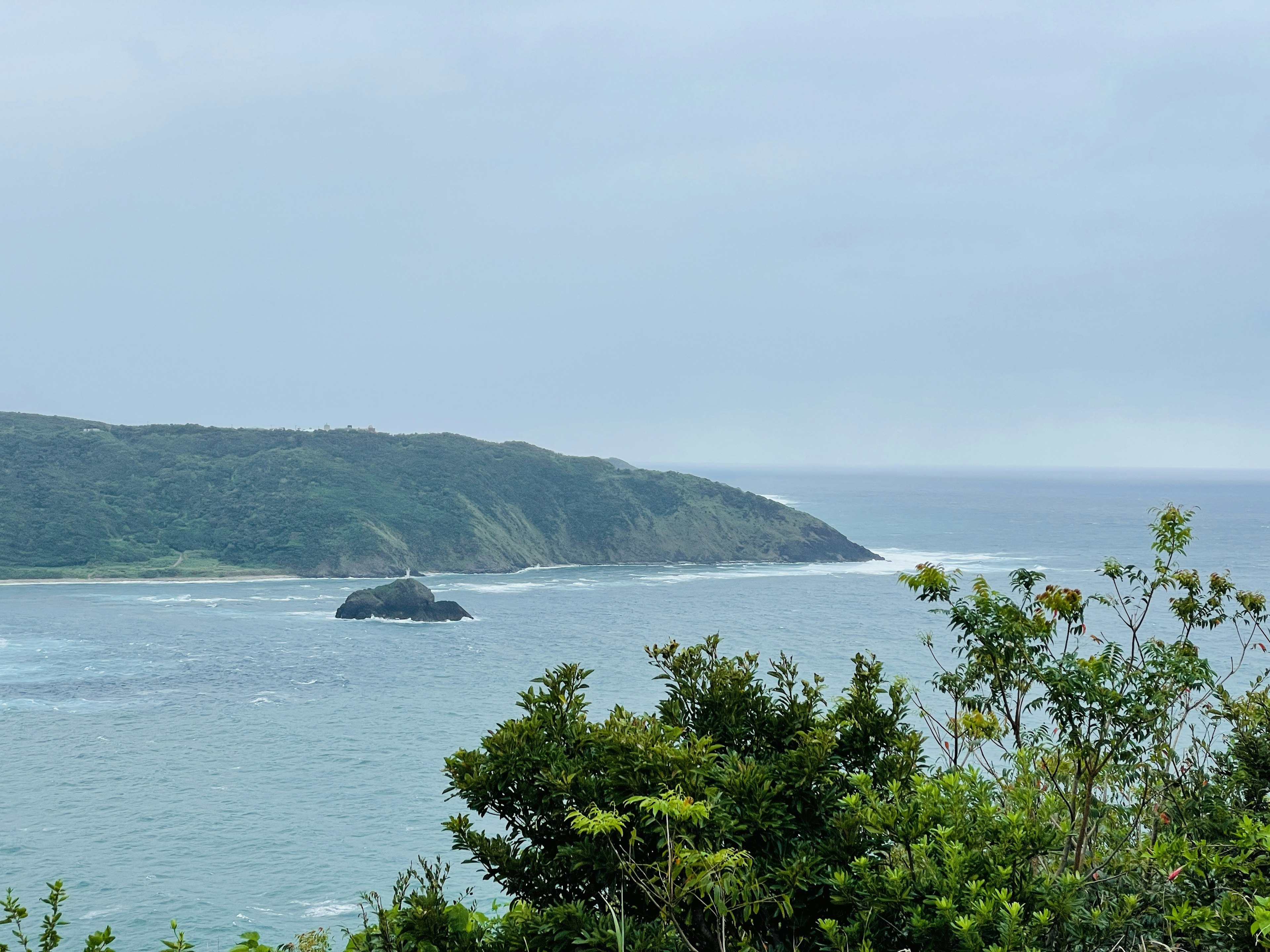 海岸風景，綠色植物，陰 cloudy 的天空，海上漂浮的岩石