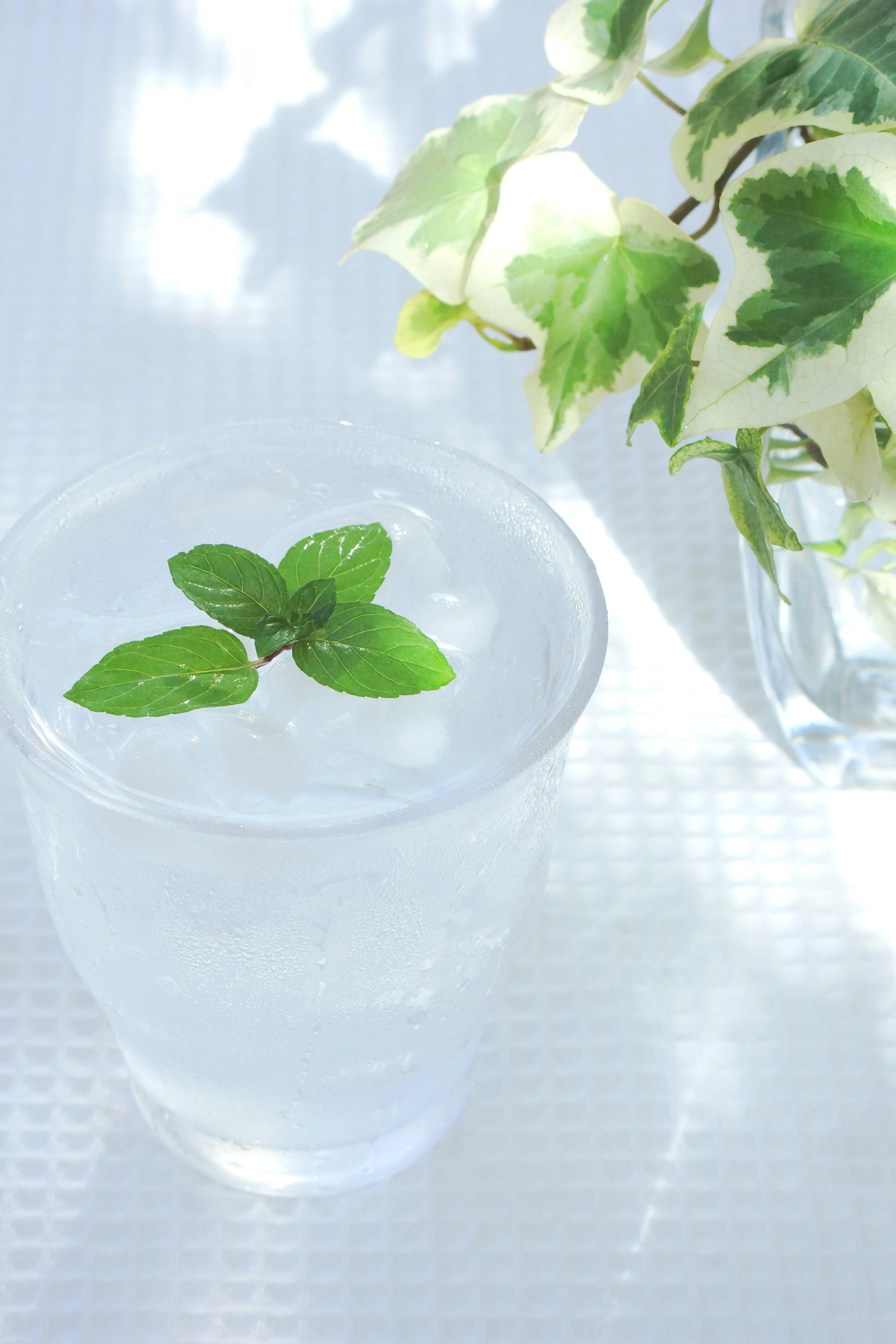 Clear glass with mint leaves floating on top and white tablecloth