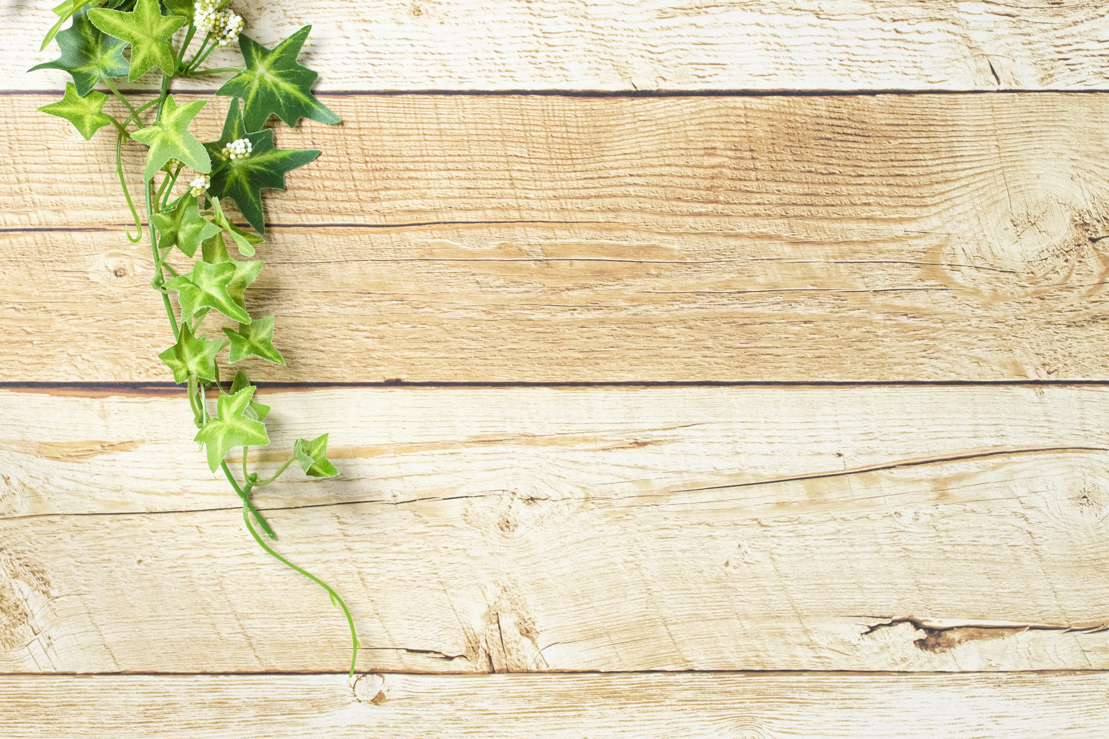 Simple composition with green leaves on wooden boards