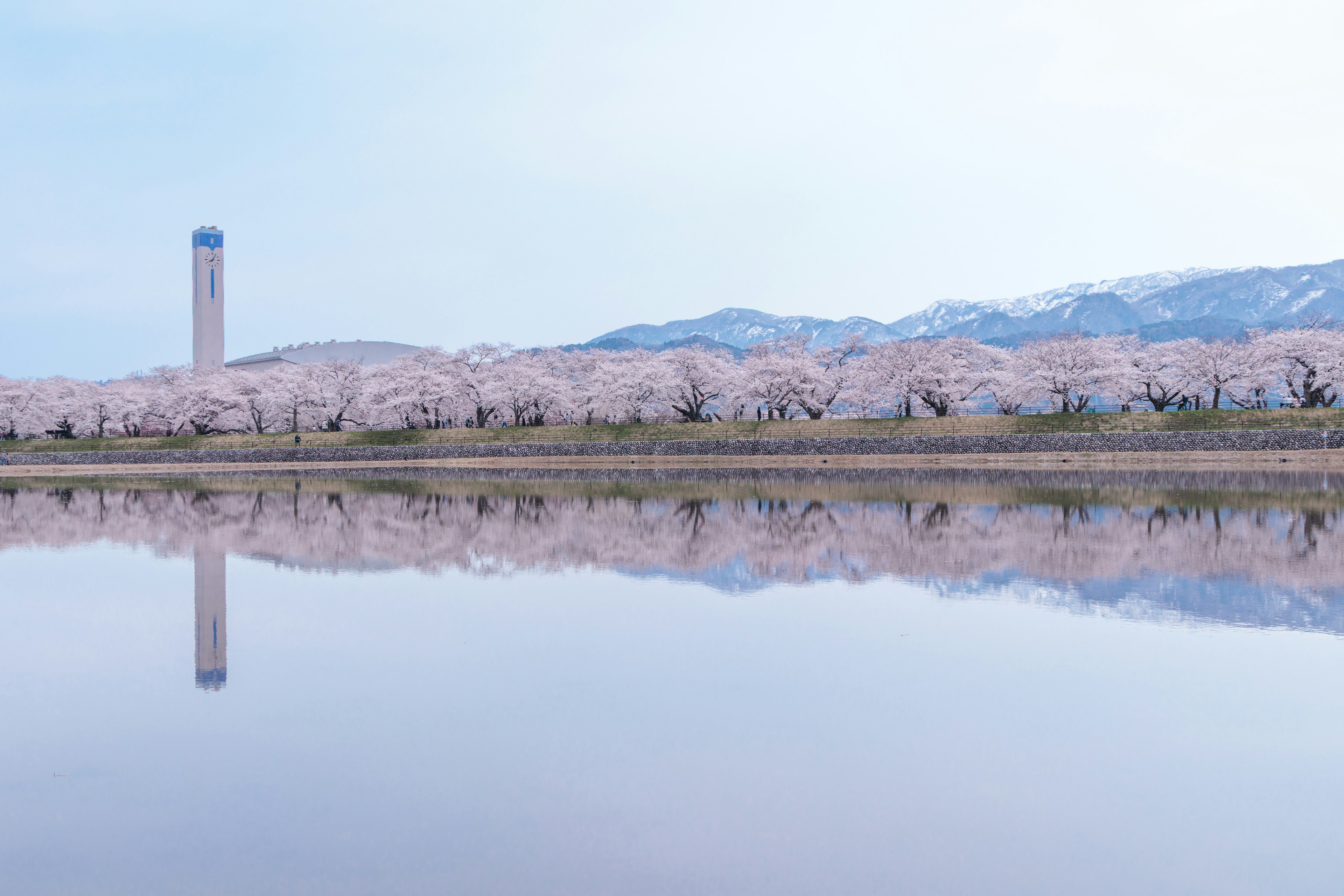 Vista escénica de cerezos a lo largo de un río con reflejo de montañas