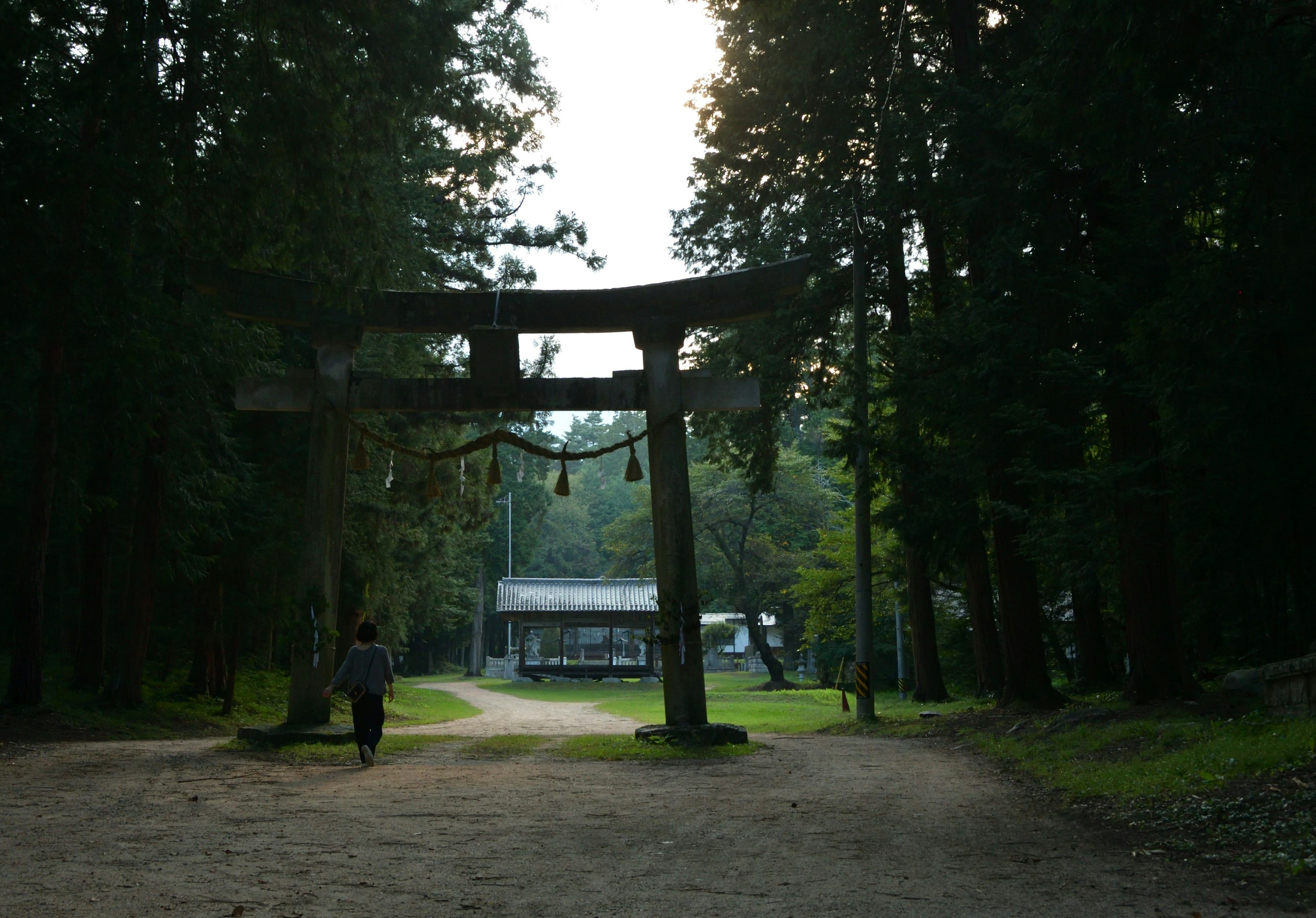 Cảnh quan của cổng torii và tòa nhà đền thờ trong rừng