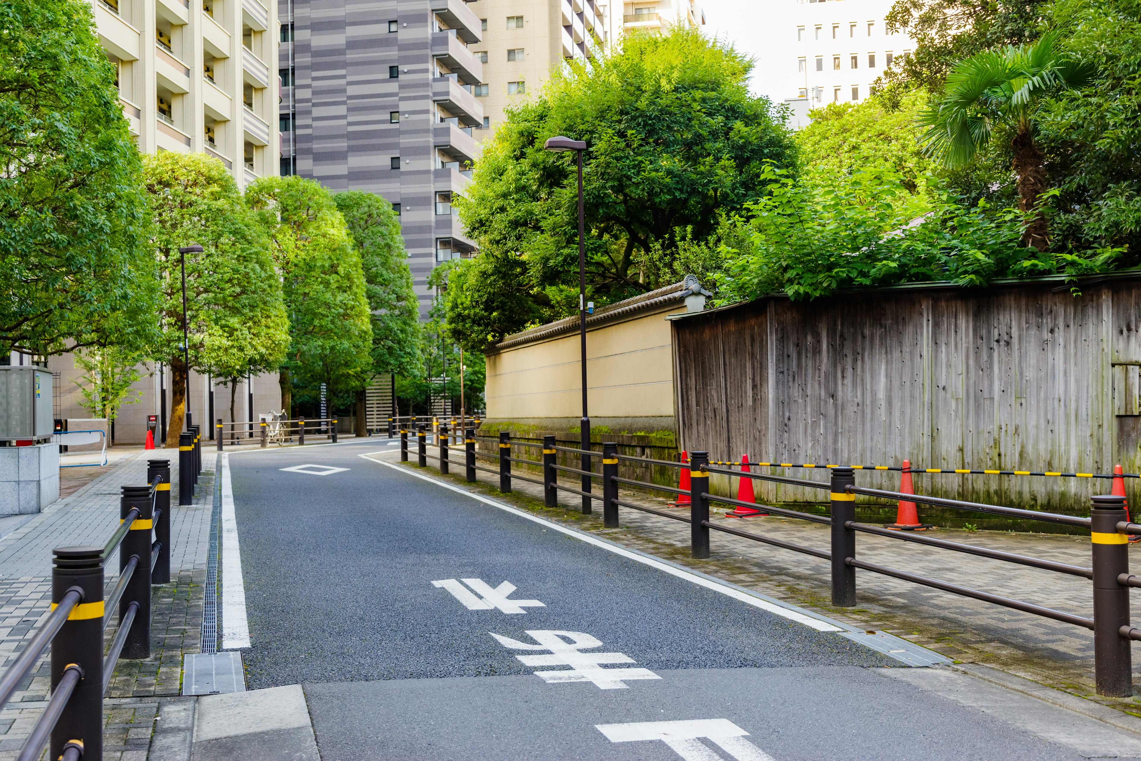 Una escena de calle serena rodeada de árboles verdes con edificios y una pared de madera