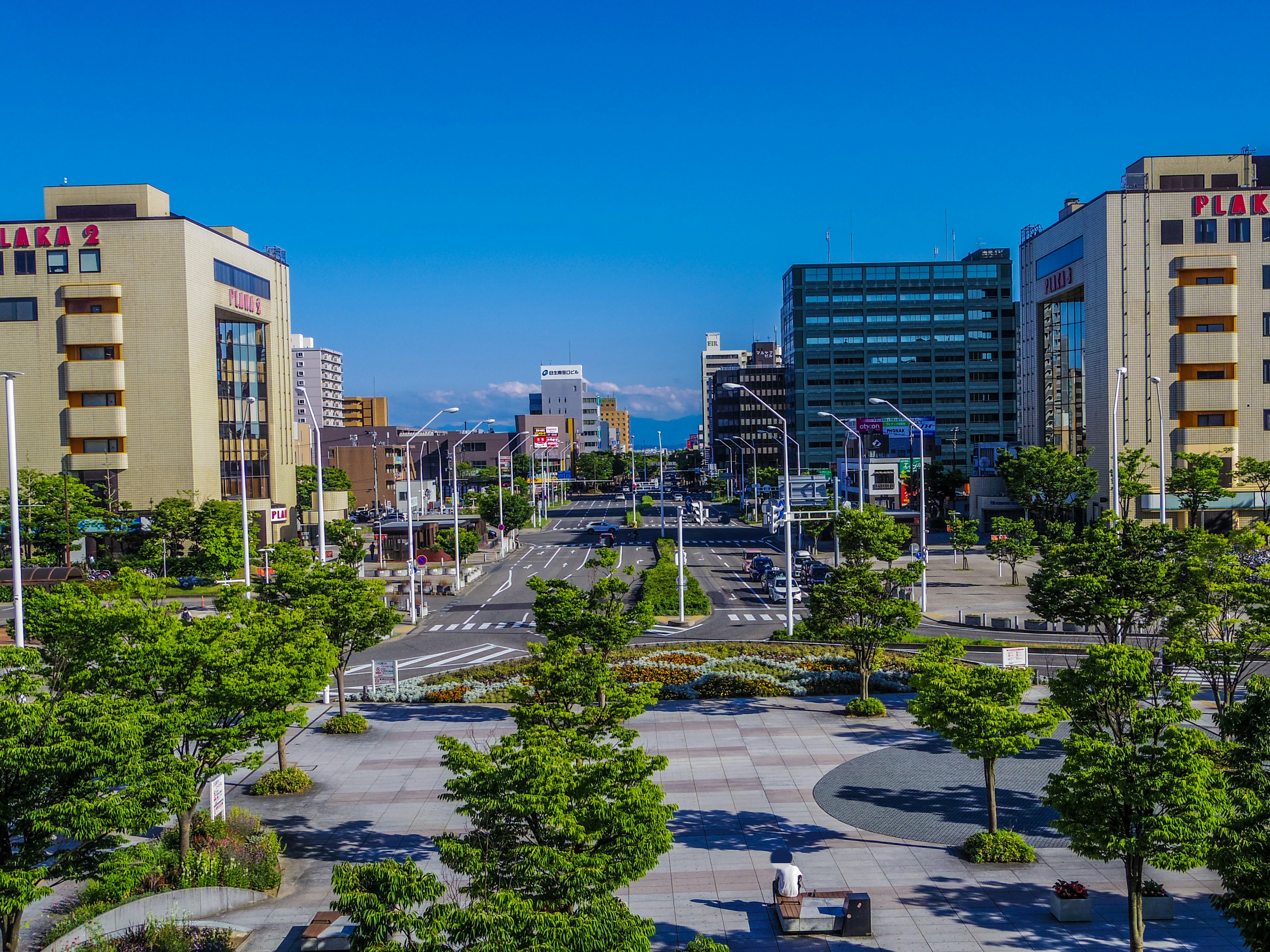 青空の下の都市風景　近代的な建物と緑の木々が並ぶ広場