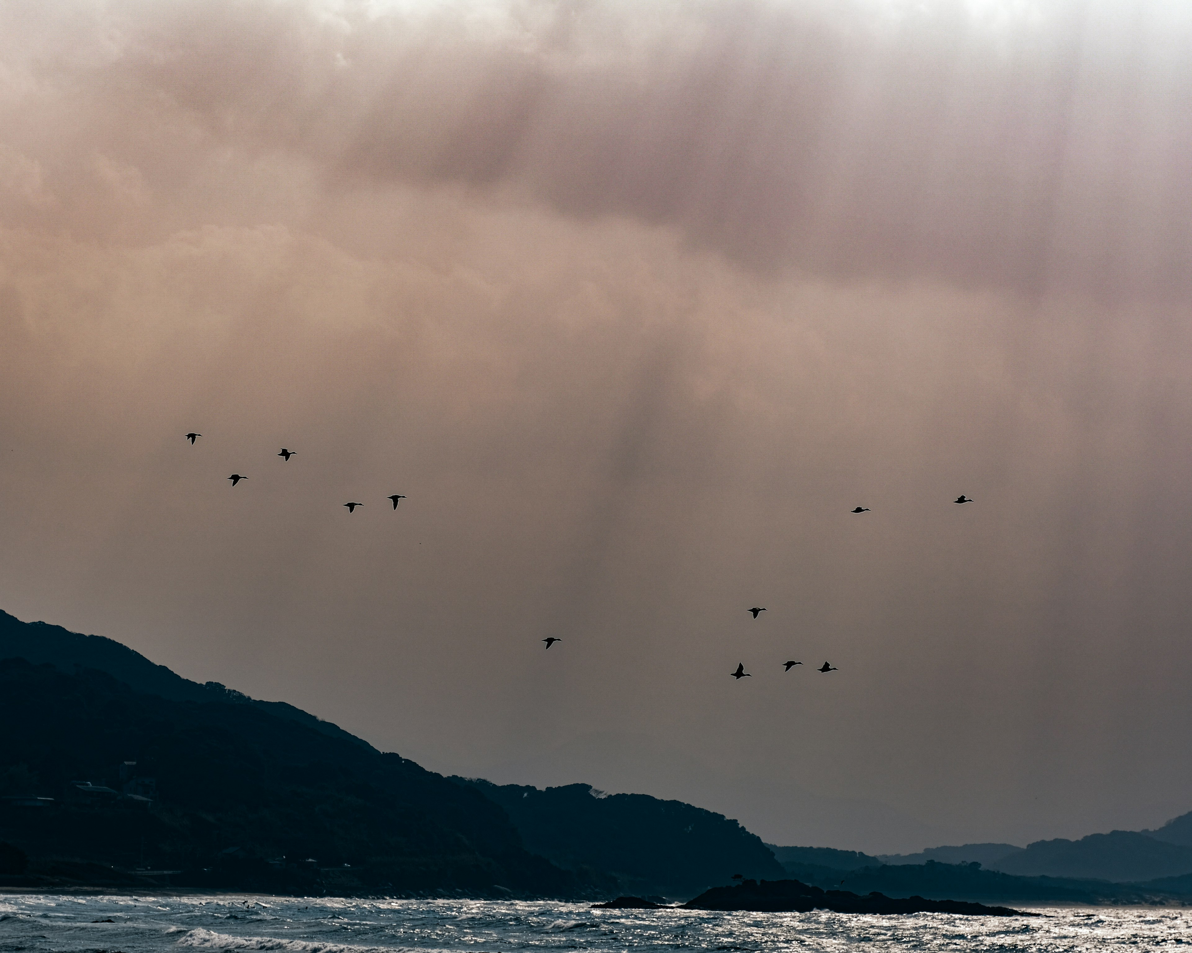 Aves volando sobre un paisaje marino con nubes oscuras y colinas distantes