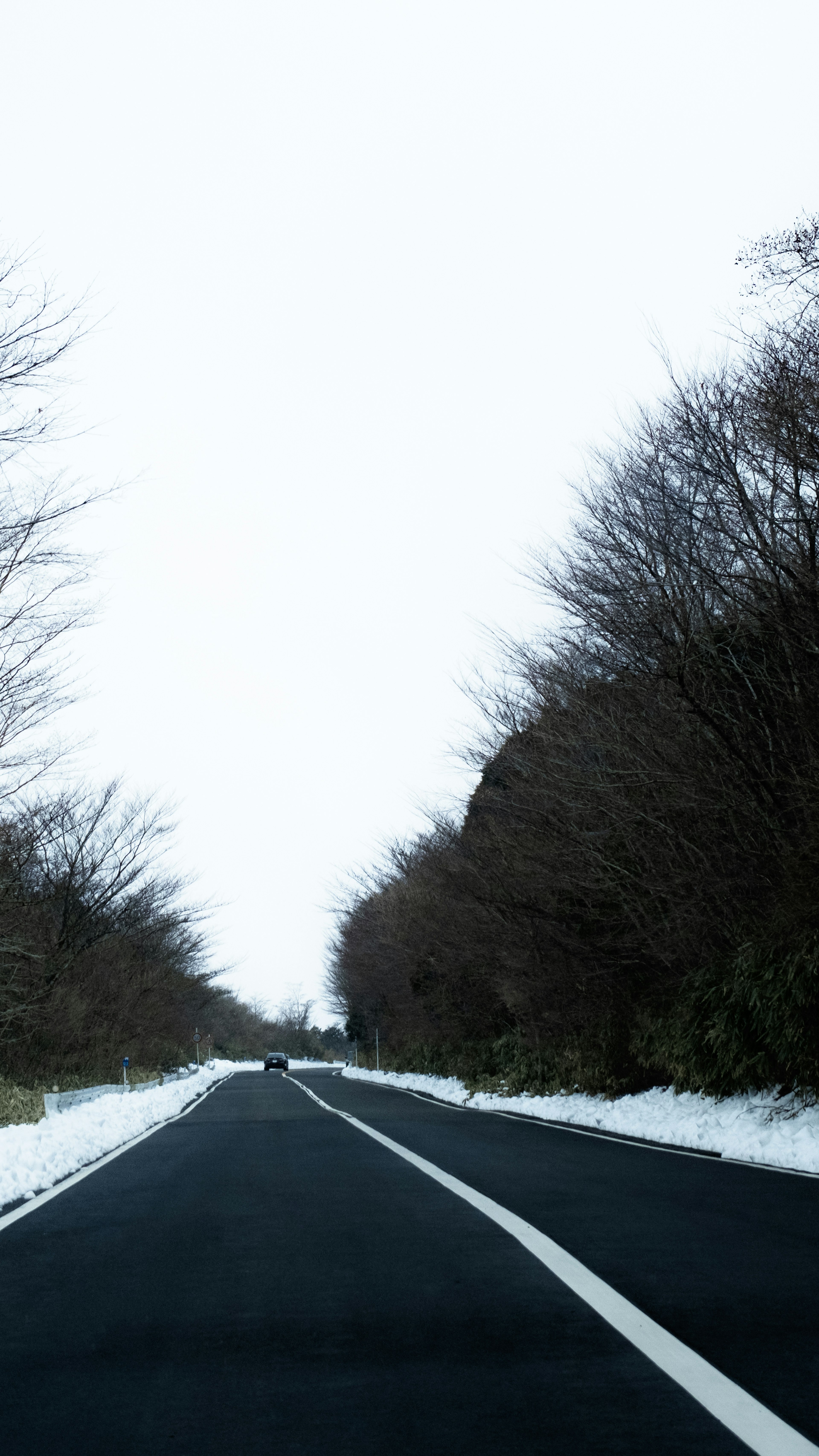 雪景色の道路と裸の木々の風景