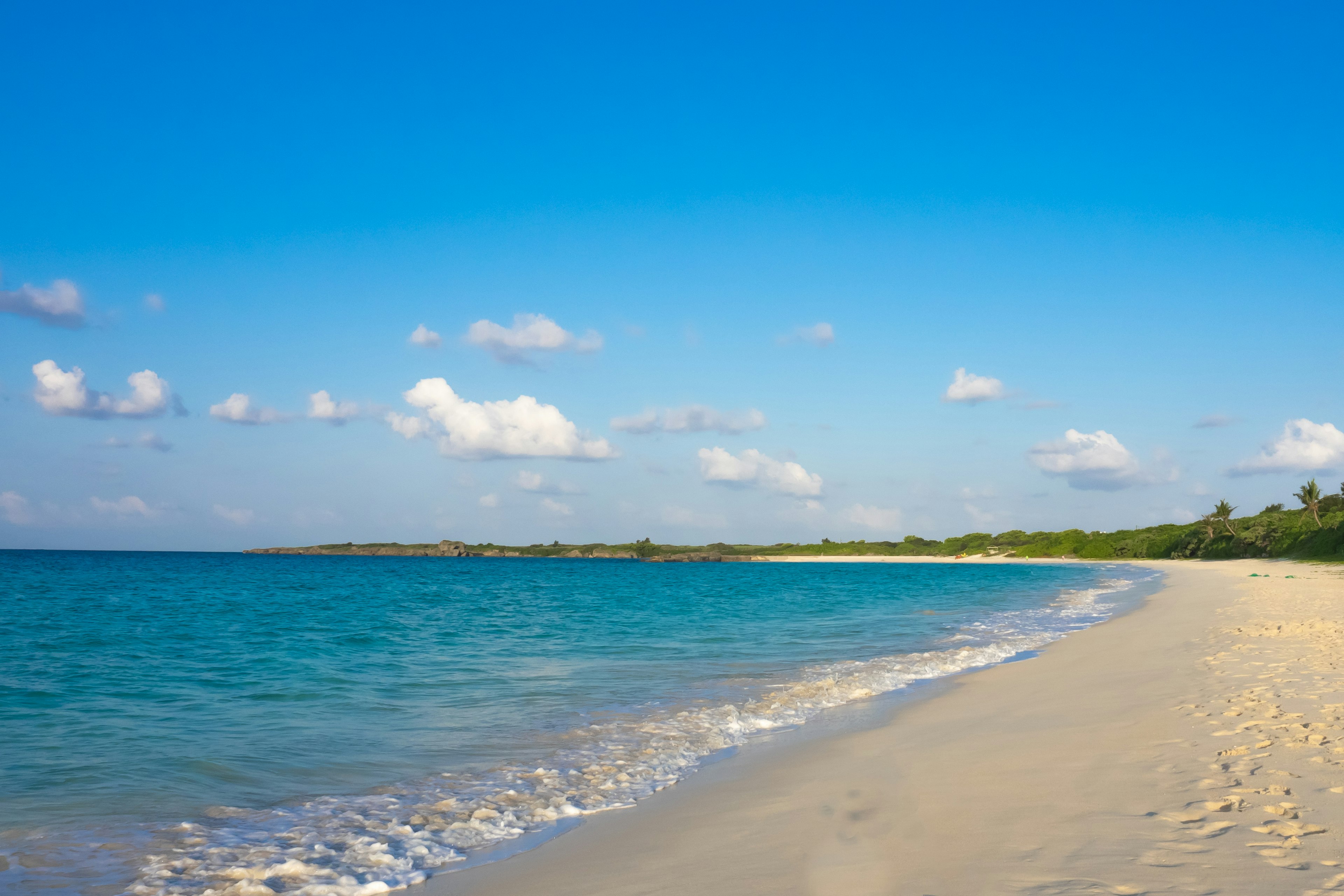 Eine malerische Strandansicht mit blauem Himmel und sanften Wellen