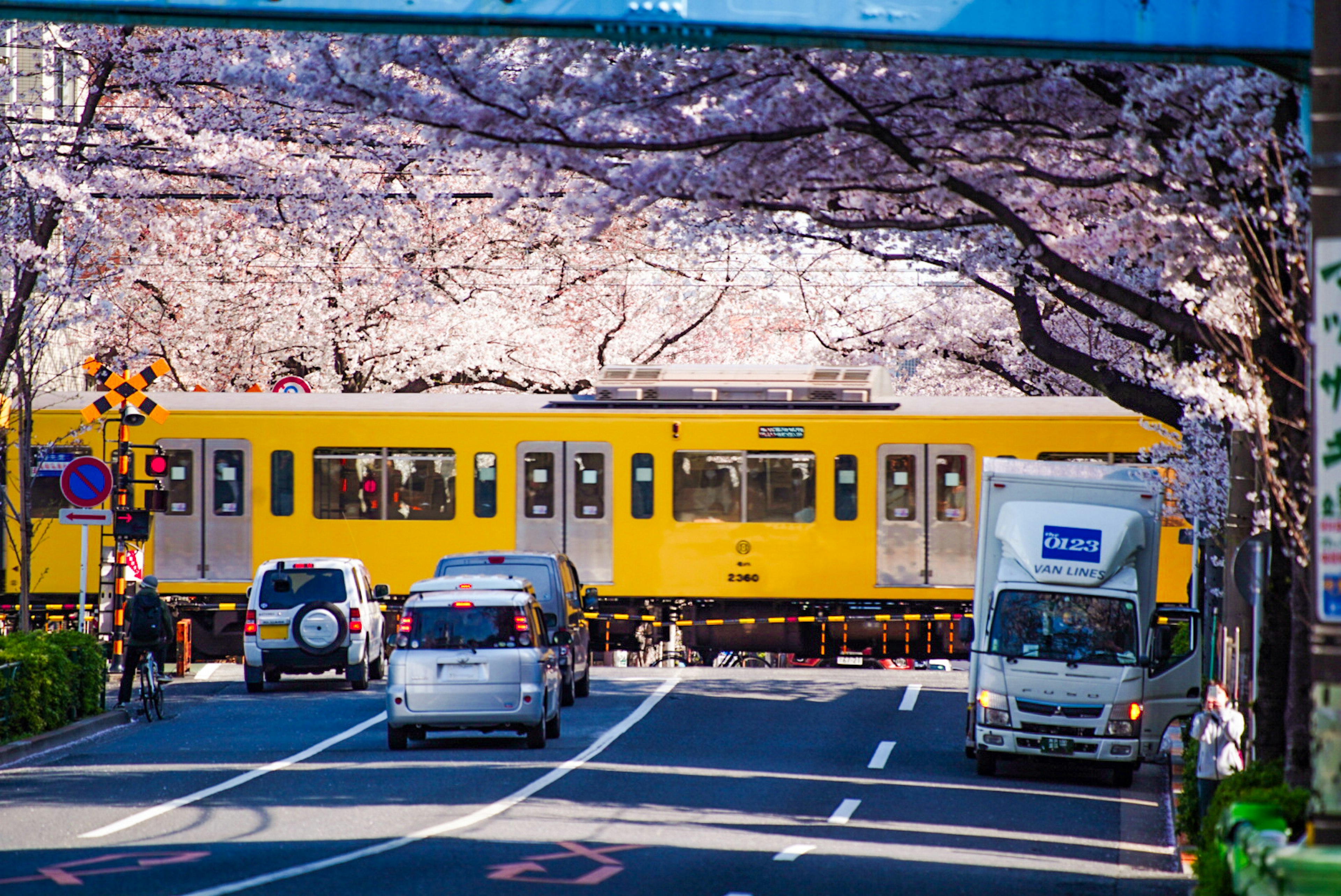 桜の木の下を走る黄色い電車と街の風景