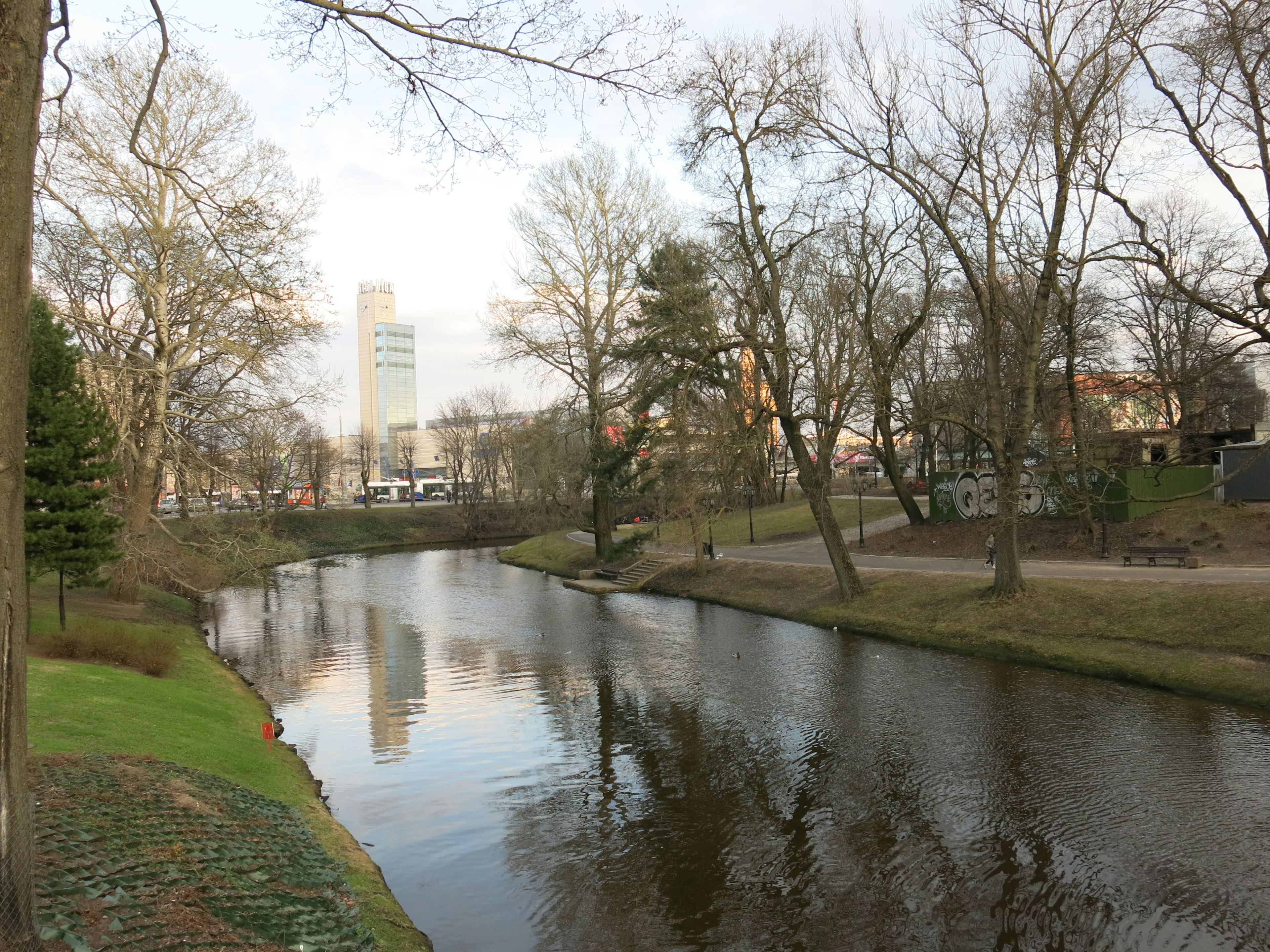 Vista panoramica di un fiume circondato da alberi con un grattacielo sullo sfondo