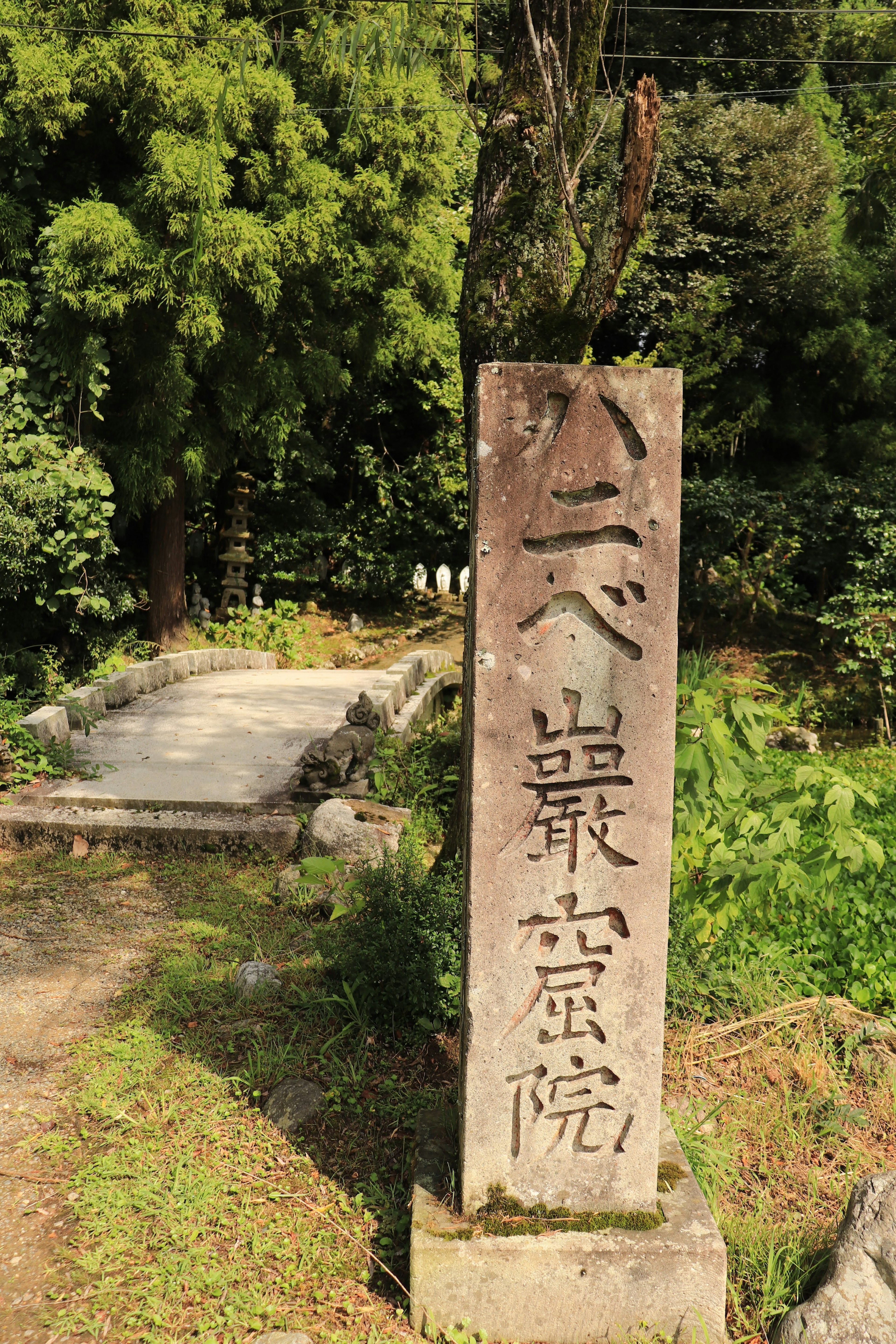 墓地中有雕刻字符的石碑，周围环绕着绿色植物