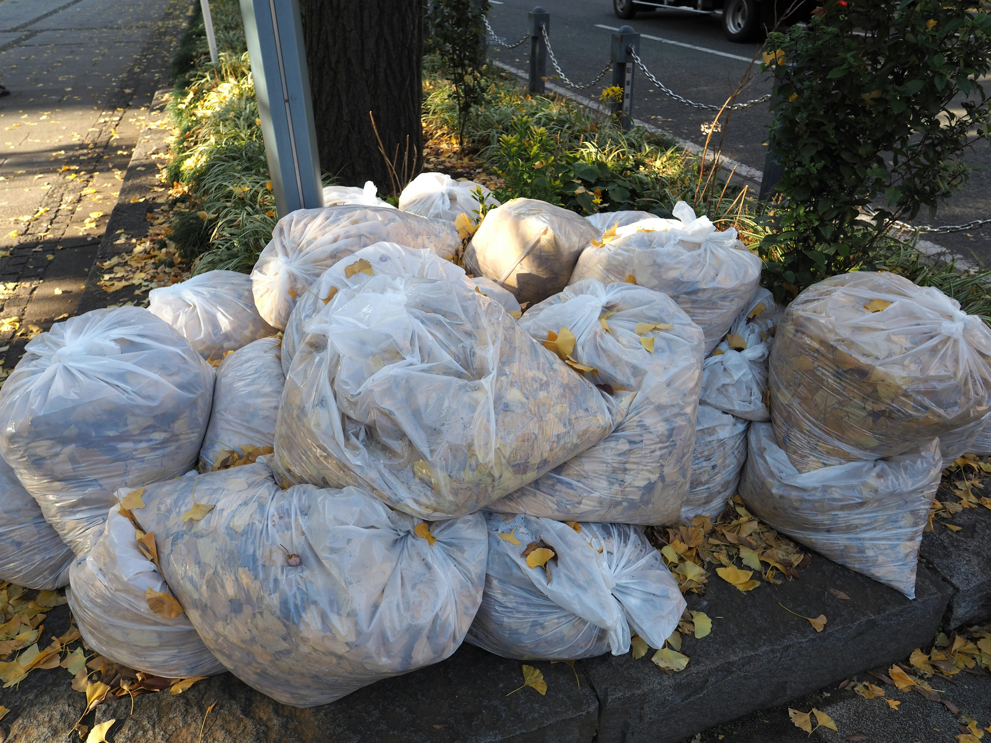 A pile of leaf bags located near a park