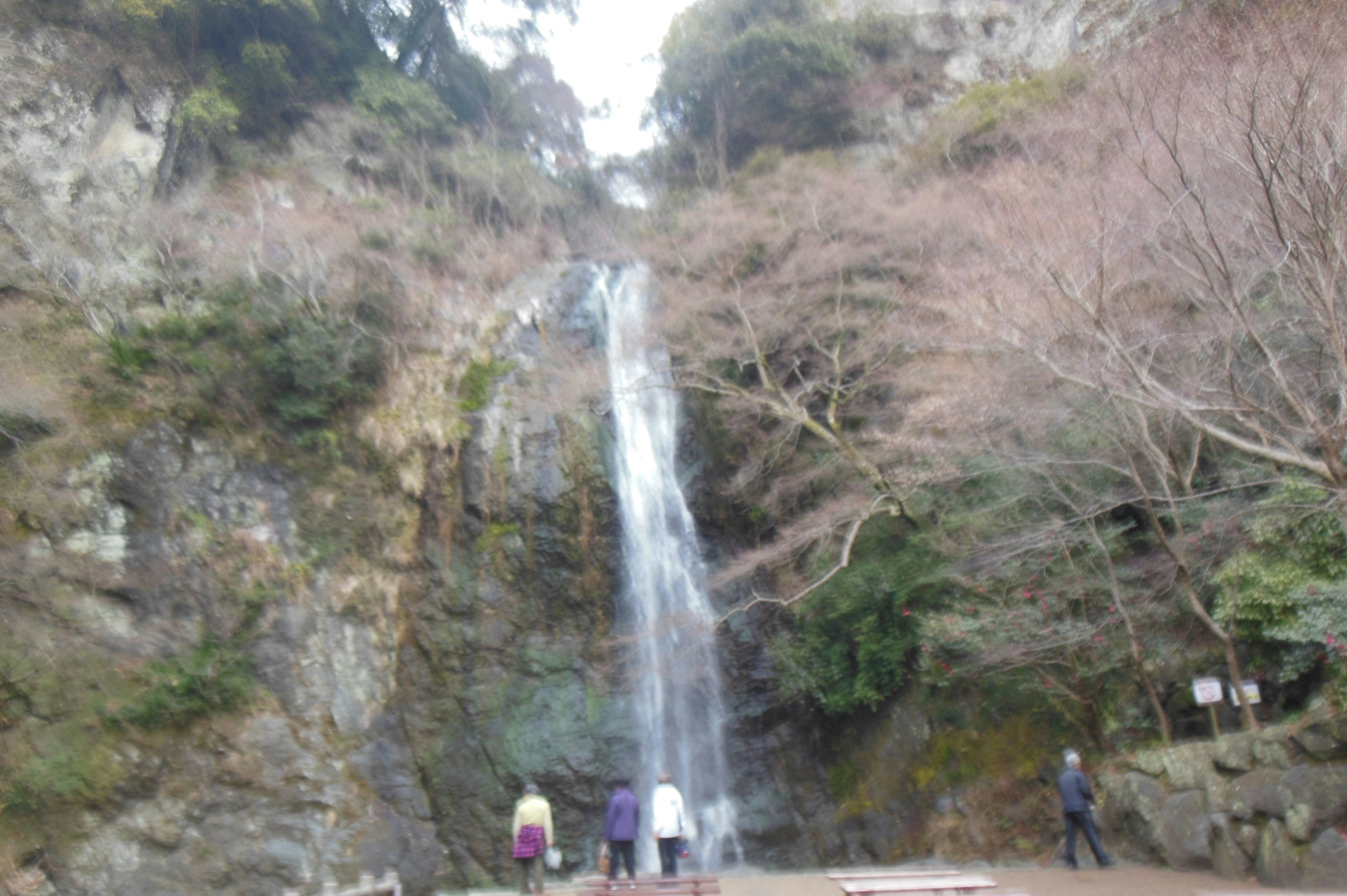 Personas de pie frente a una cascada rodeada de un paisaje natural