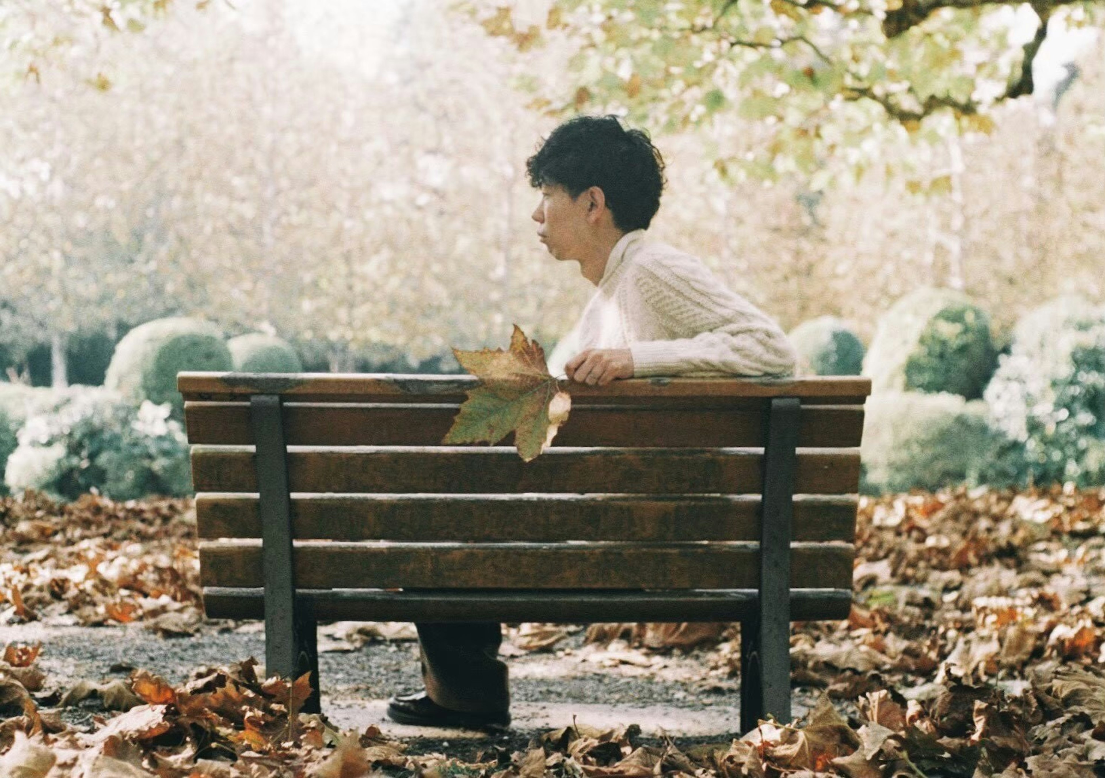 Jeune homme assis sur un banc de parc entouré de feuilles d'automne