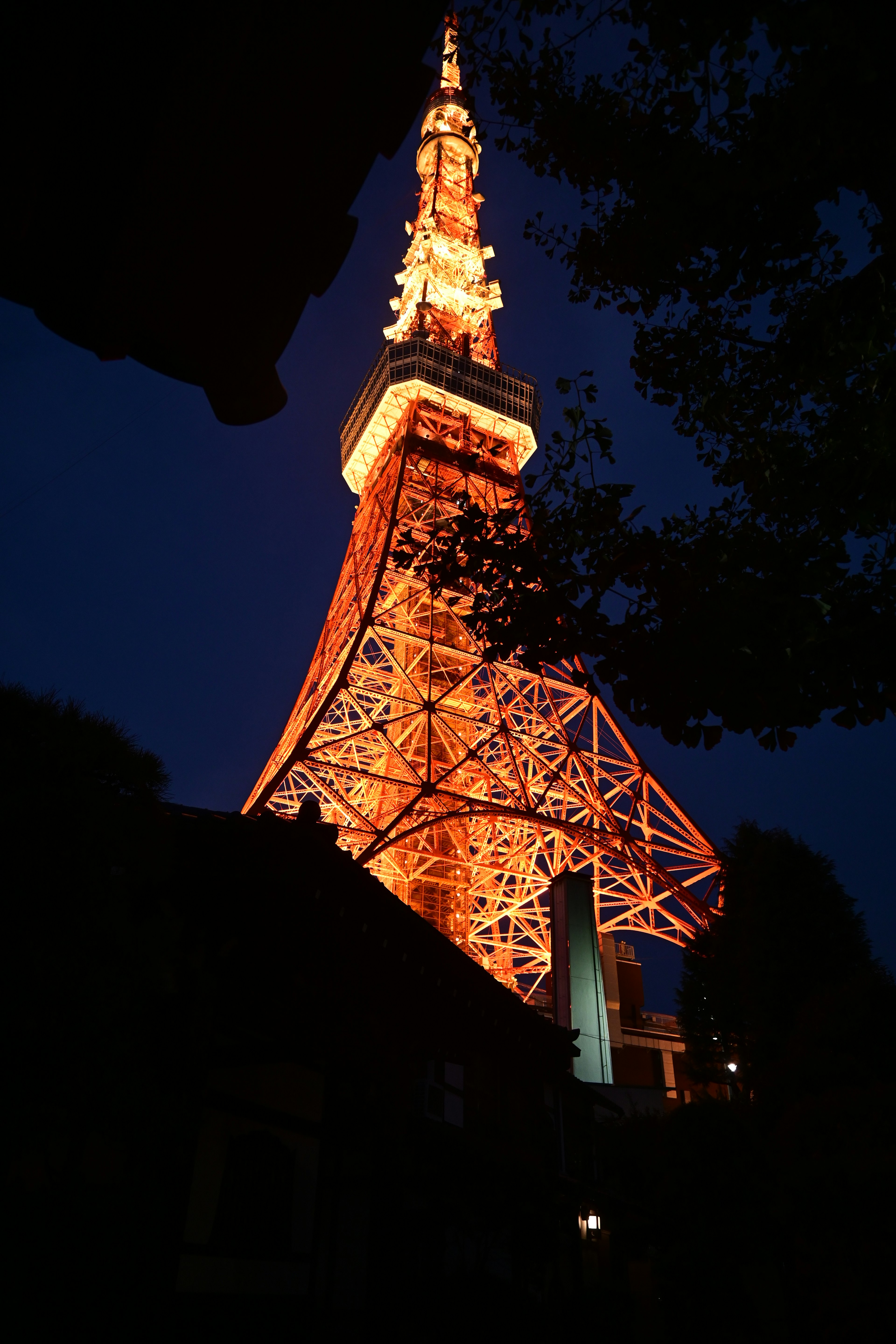 Menara Tokyo yang diterangi oranye di malam hari