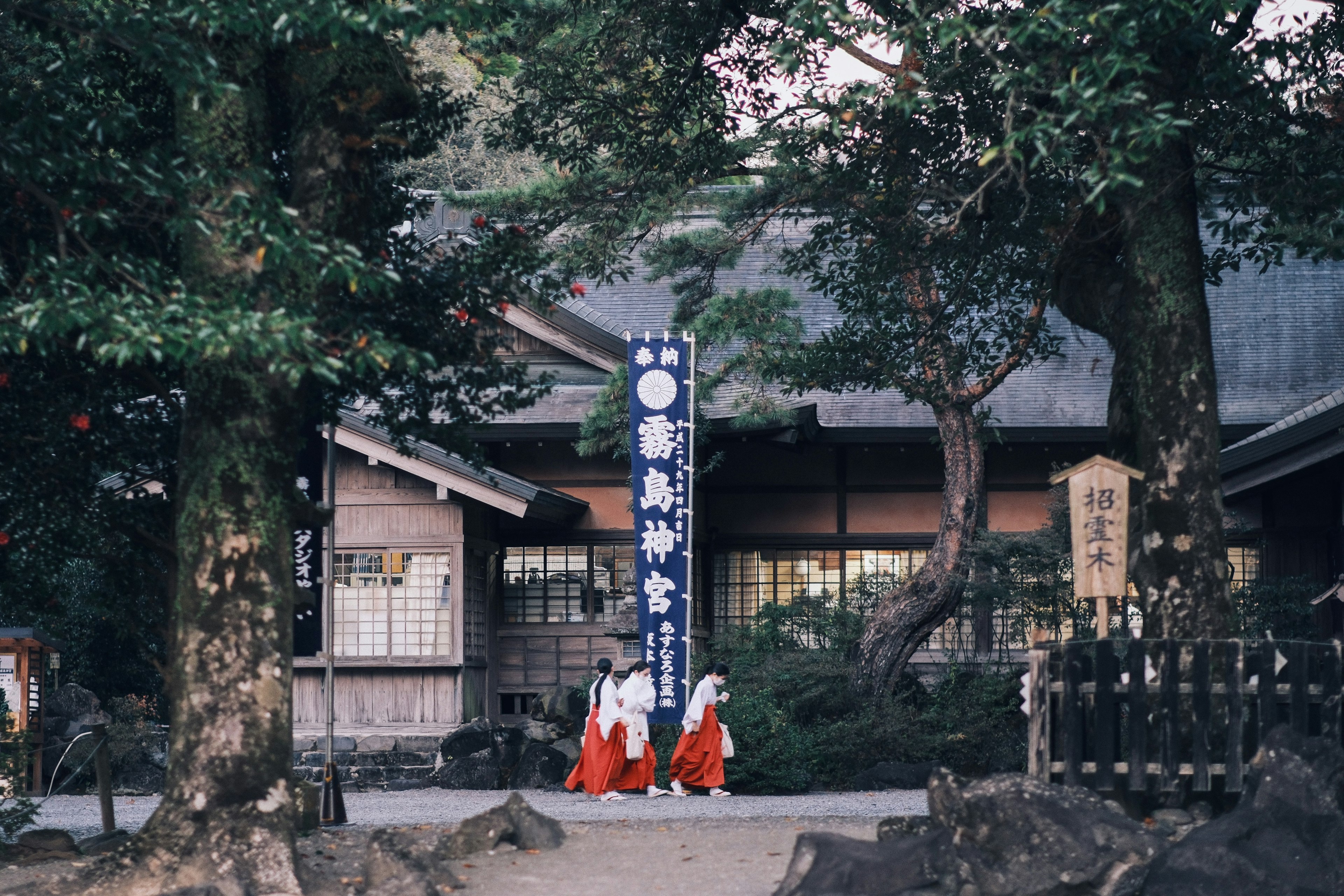 伝統的な衣装を着た三人の女性が木々の間を歩く風景