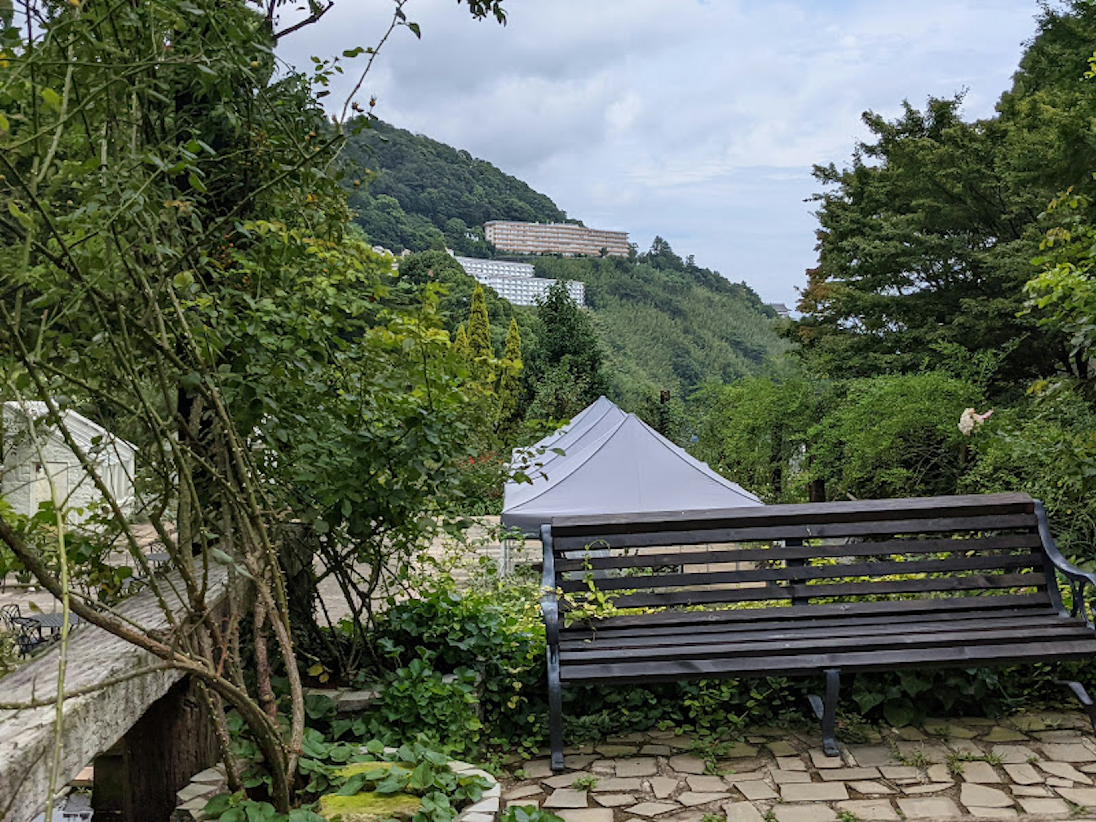 Una scena di giardino lussureggiante con una panchina in legno e una tenda