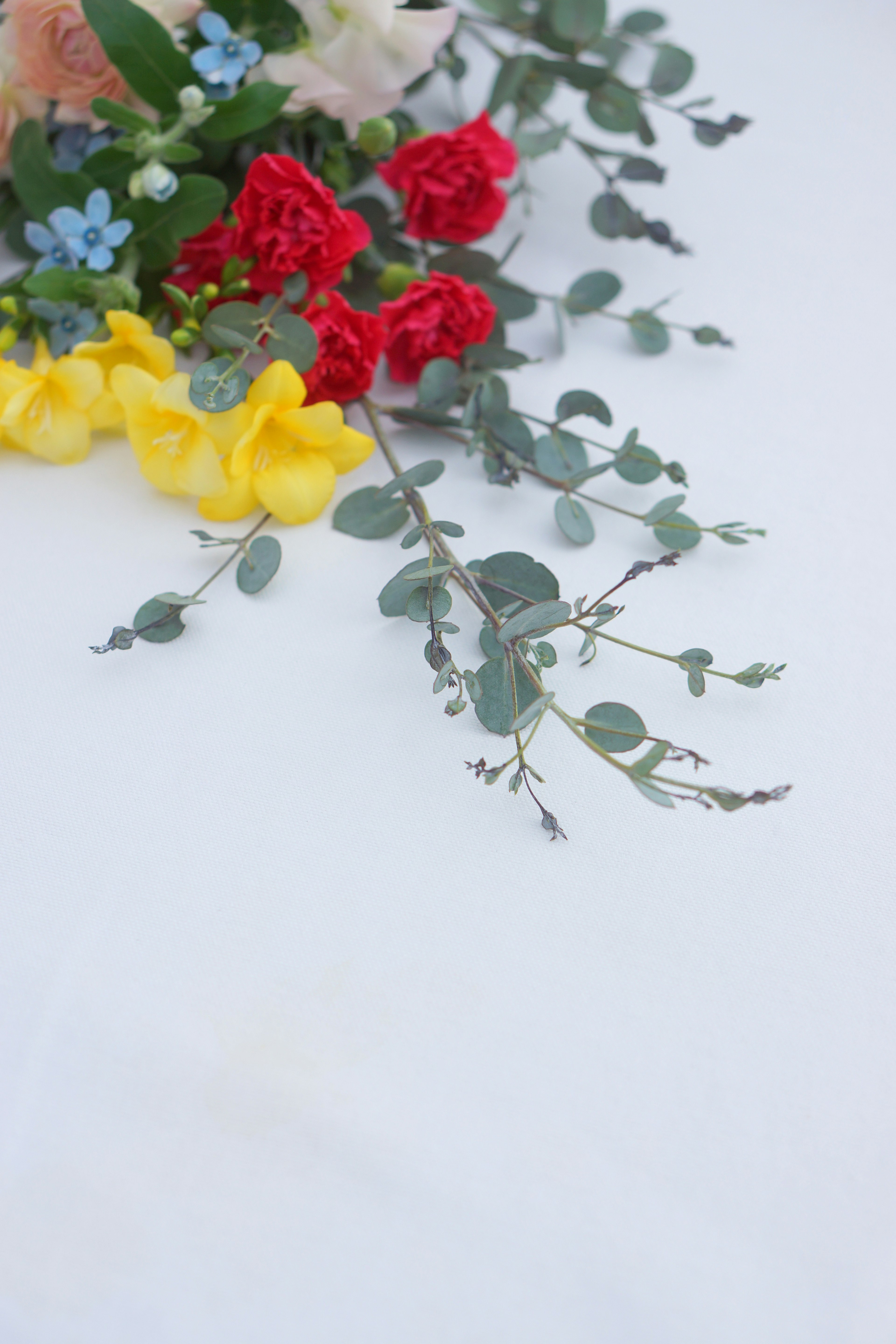 Arrangement floral coloré avec des feuilles d'eucalyptus sur un fond blanc