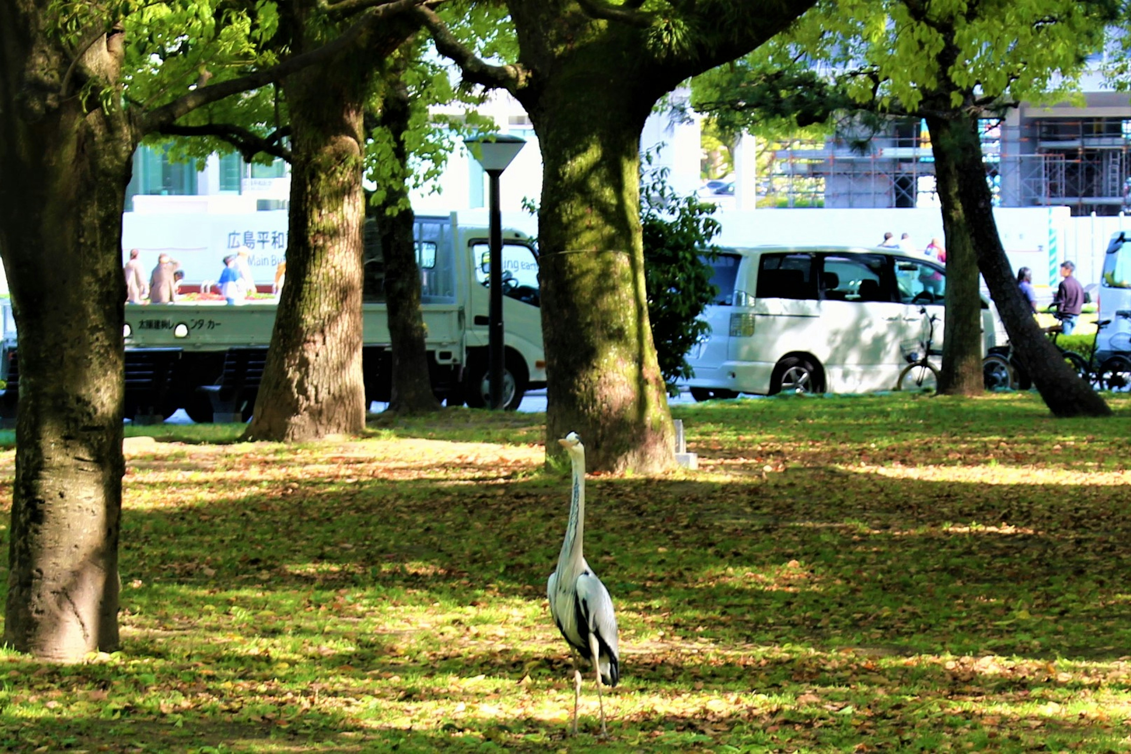 公園の中で立っている鶴と木々の景色