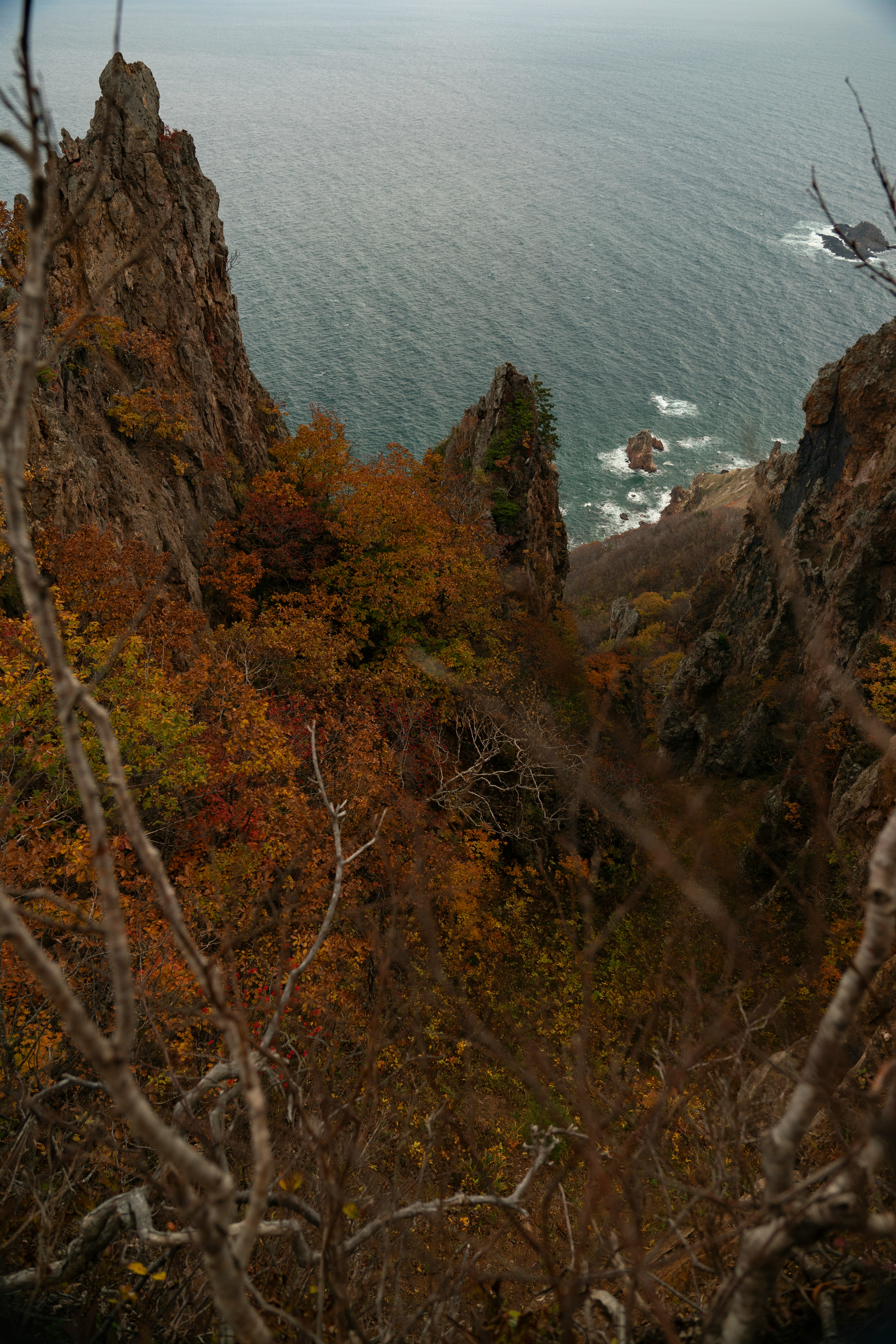 Paesaggio autunnale con scogliere rocciose che si affacciano sull'oceano e foglie arancioni vivaci