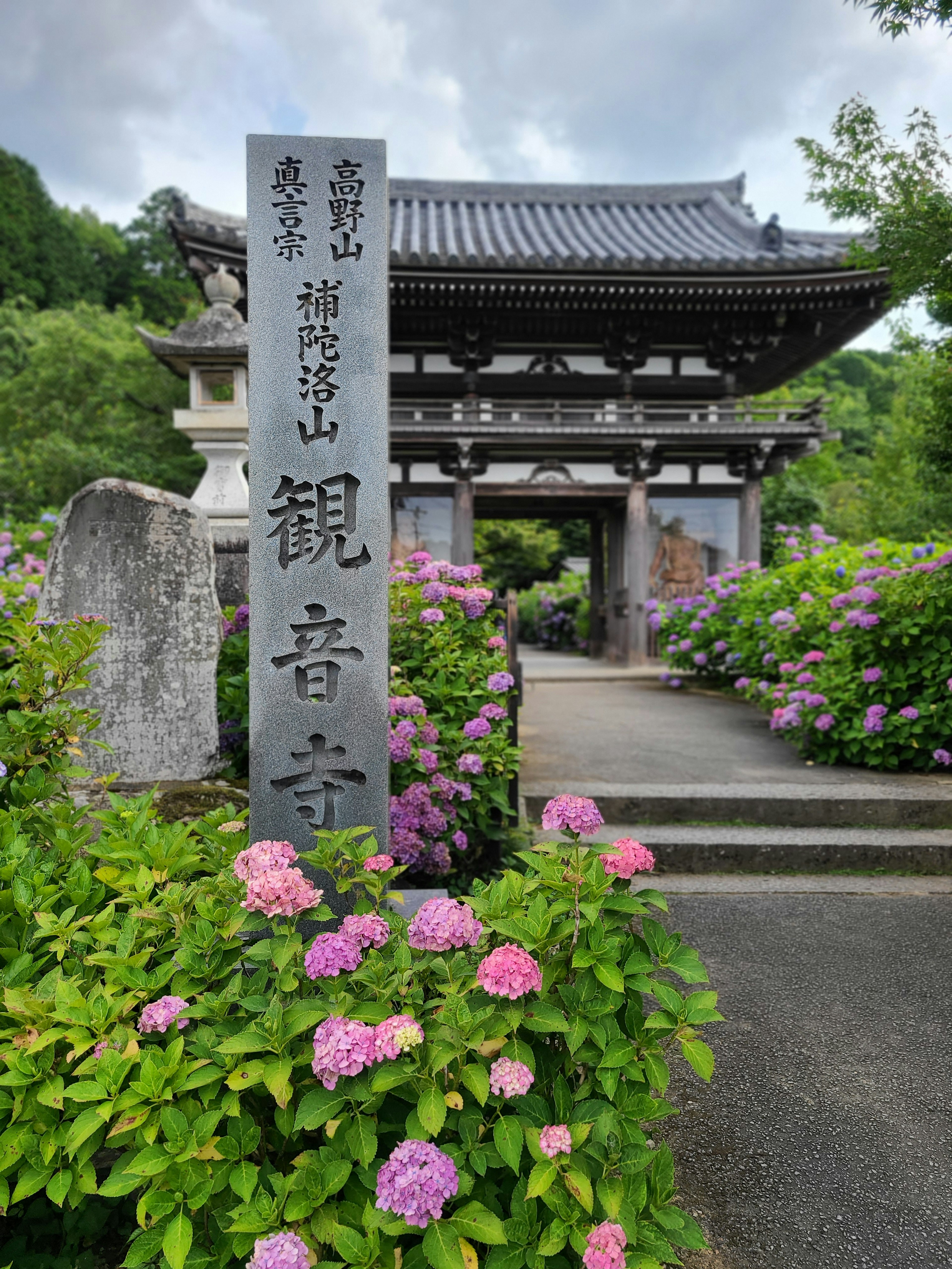 Eingang des Kannonji-Tempels mit blühenden Hortensien