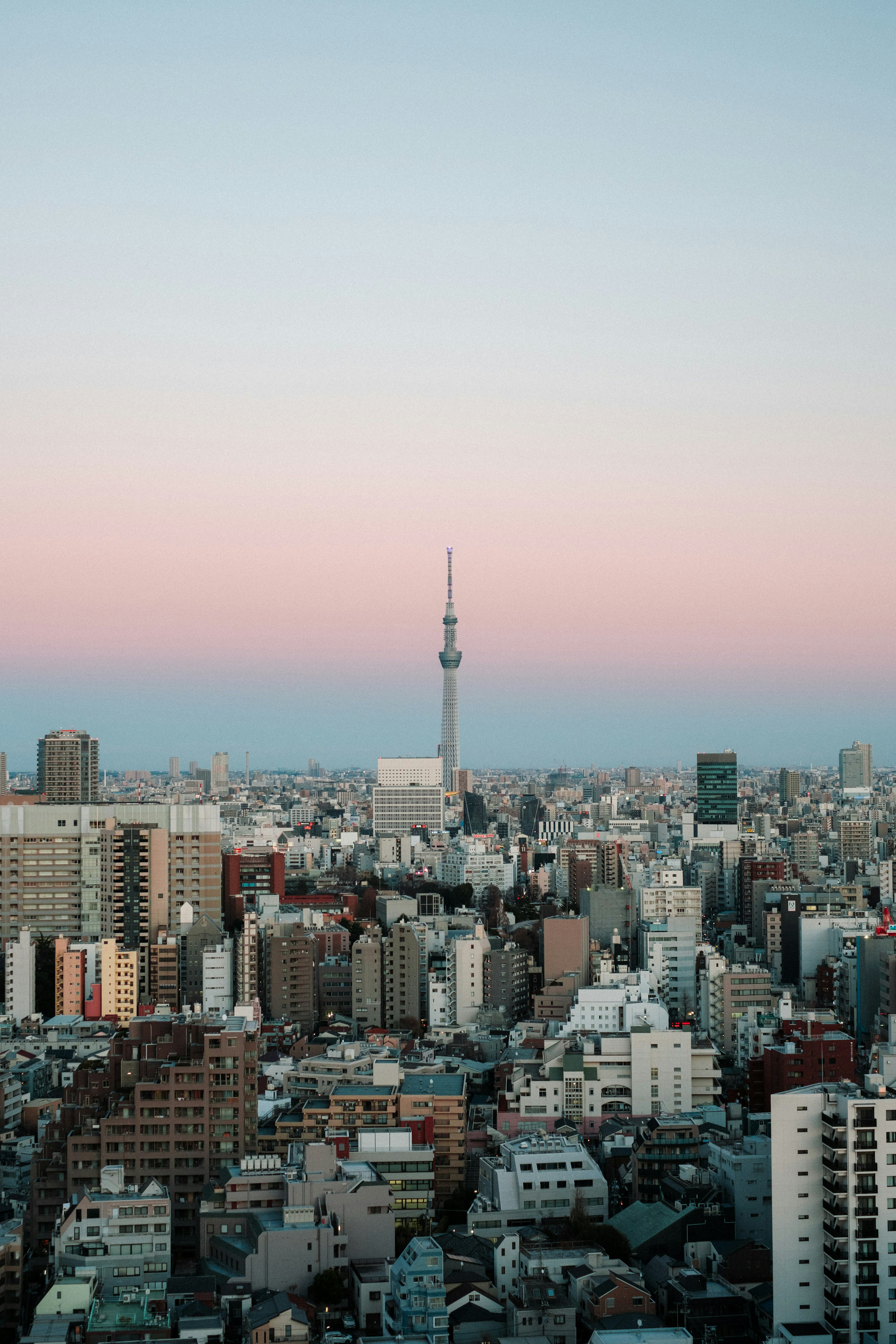 東京スカイツリーがそびえる都市のパノラマ景観