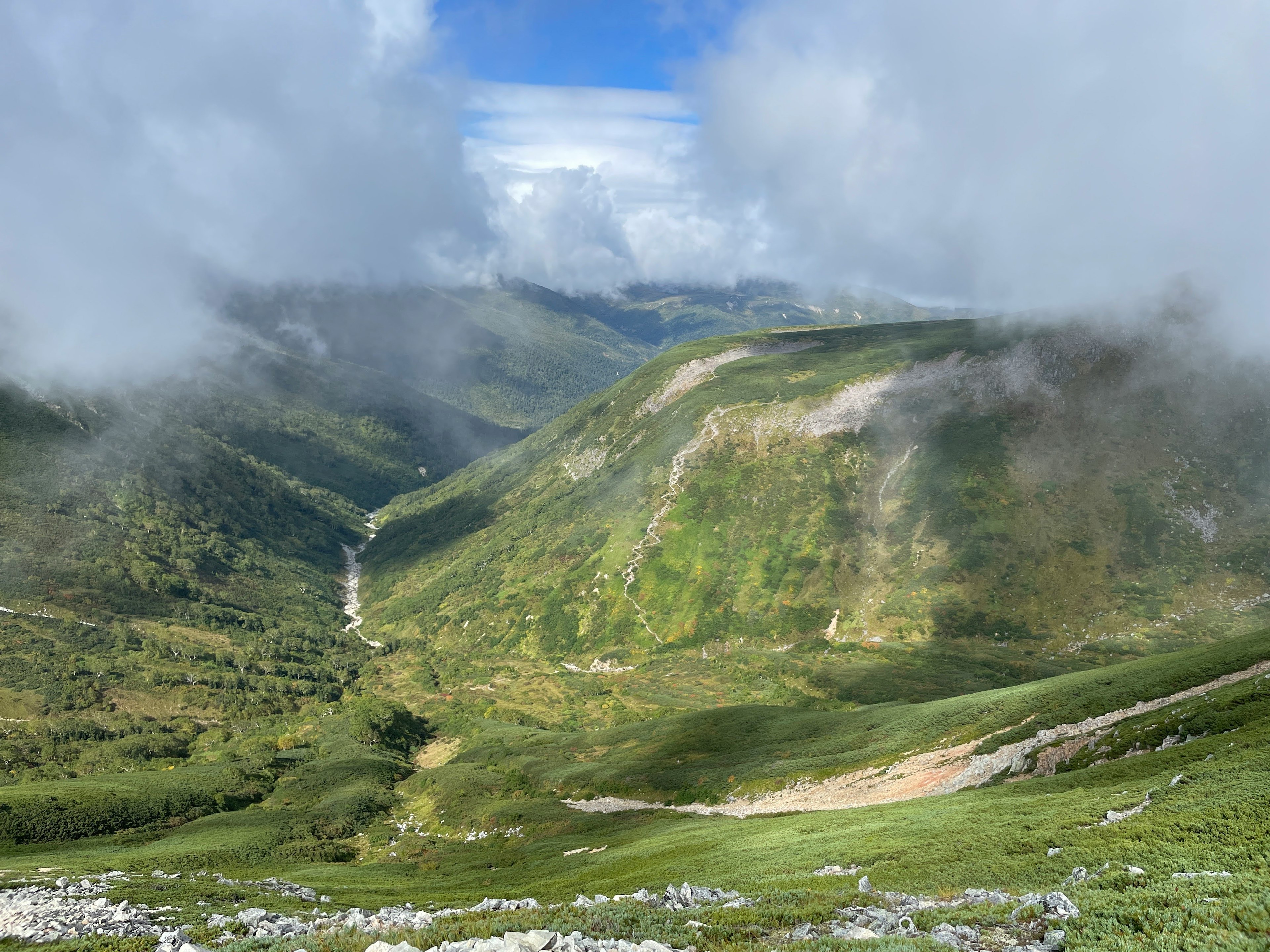 緑の山々と霧に包まれた谷の風景