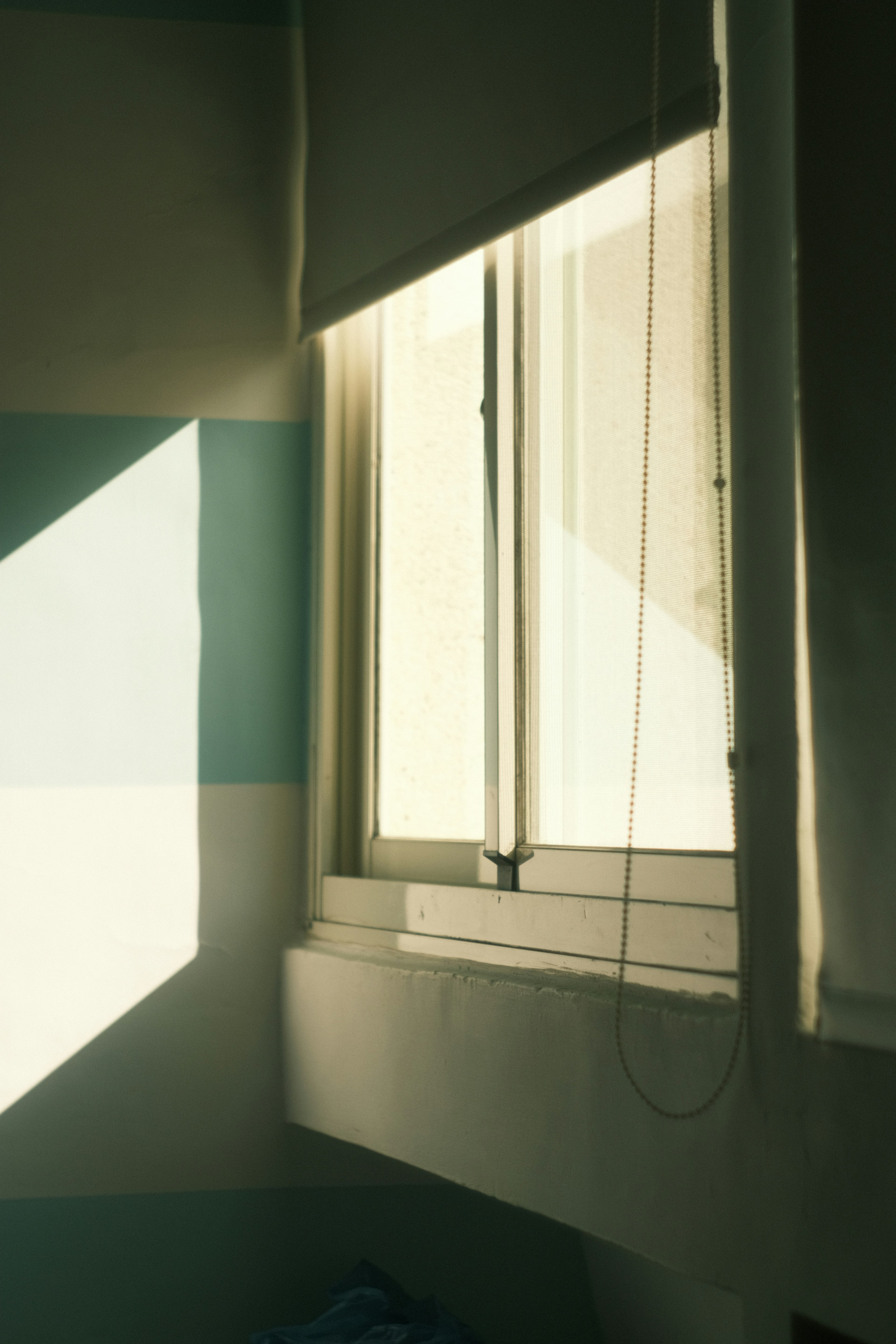 A room featuring soft light coming through a window and blue walls