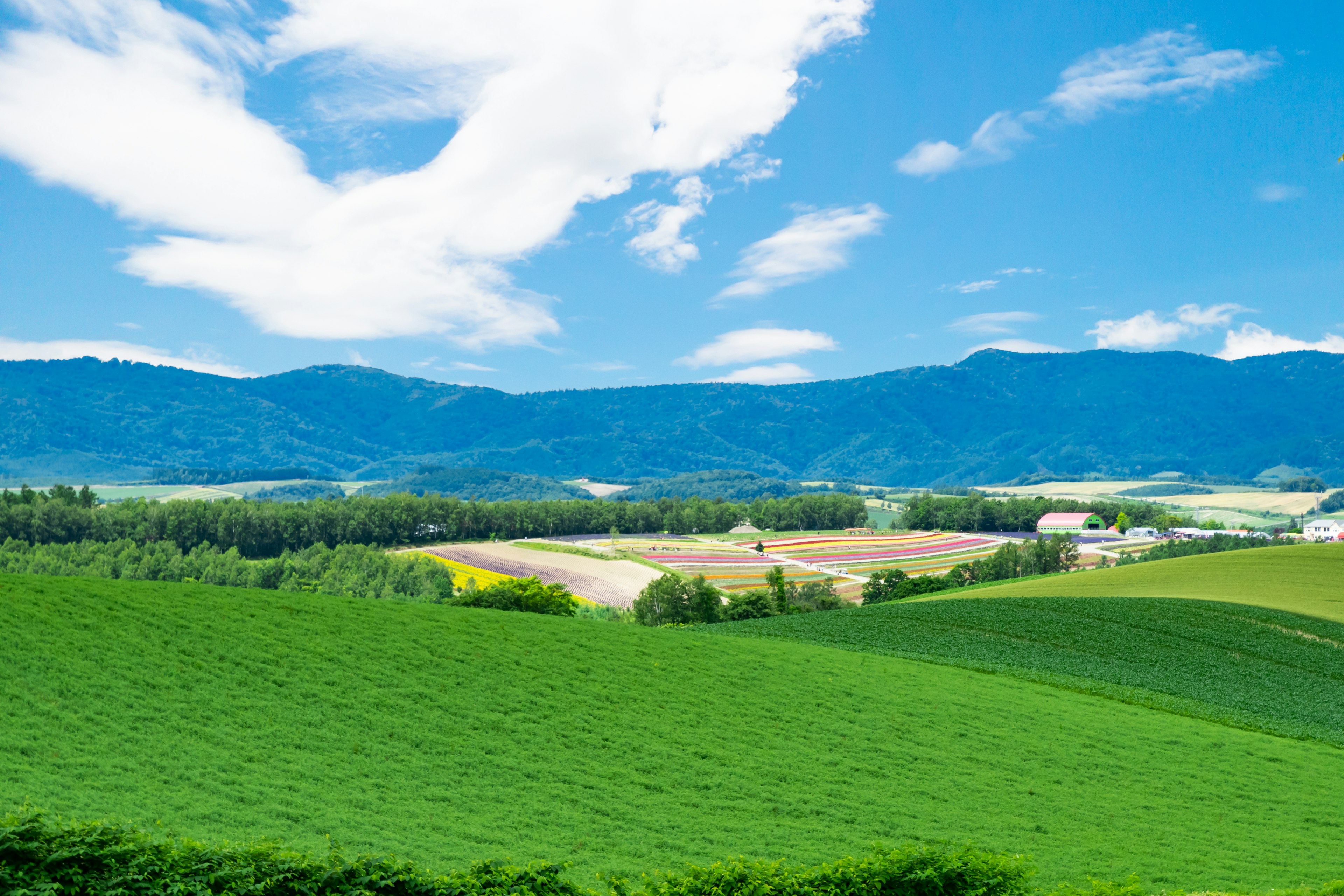 Panoramablick auf grüne Hügel unter blauem Himmel