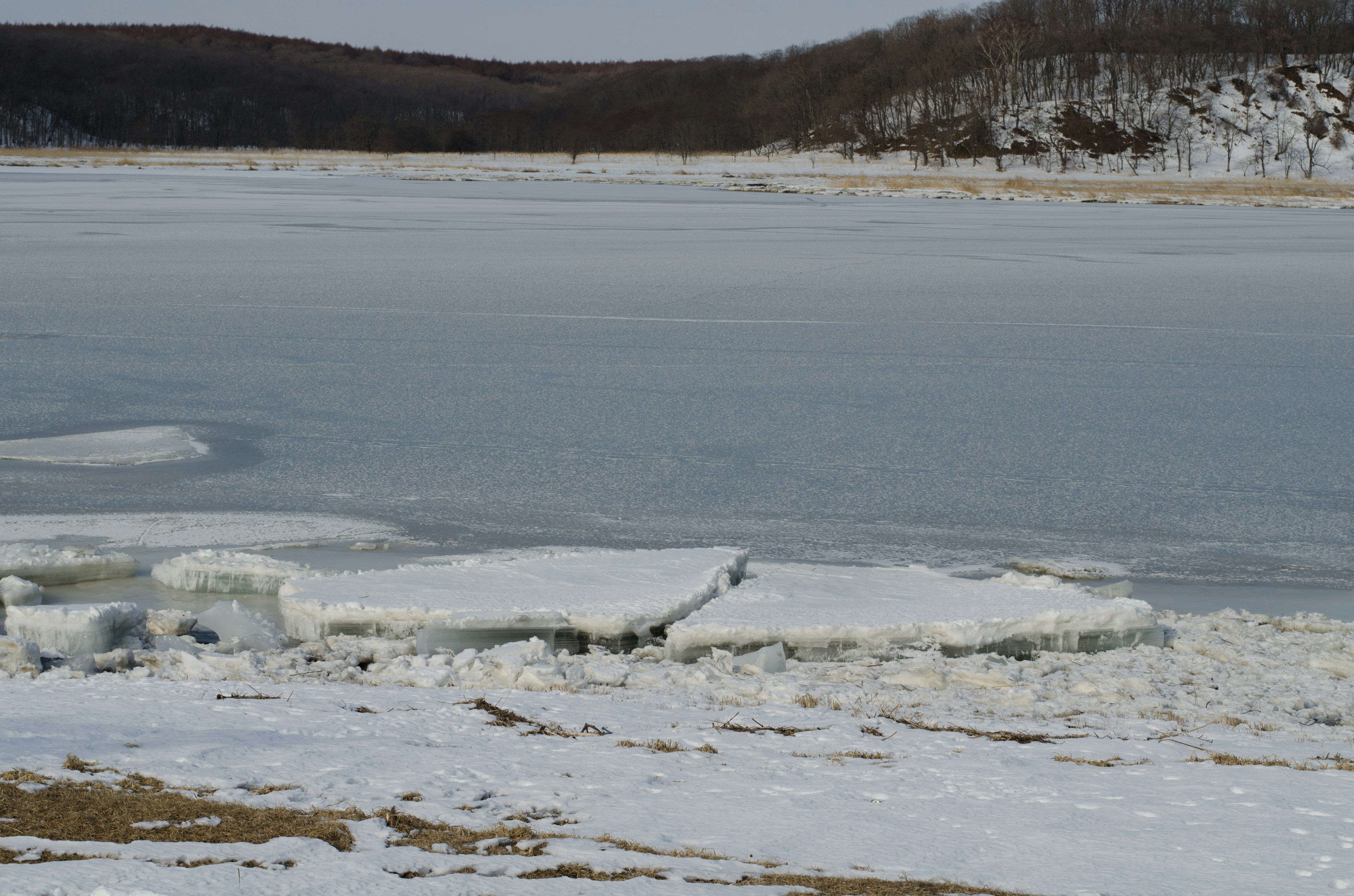 Frozen lake with snow-covered shoreline