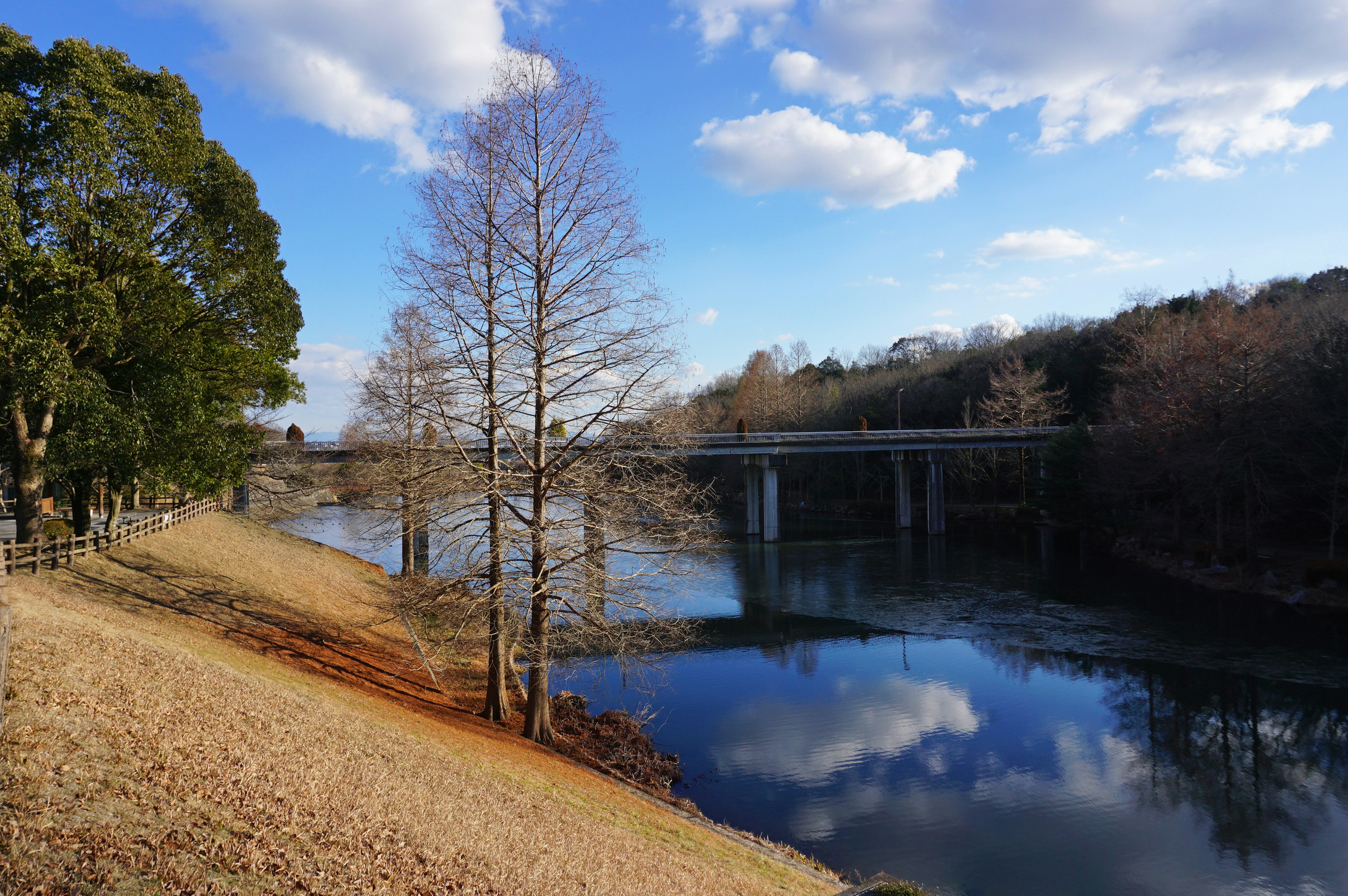 Vue pittoresque au bord de la rivière avec ciel bleu et nuages blancs se reflétant sur l'eau calme arbres et pont ajoutant à la beauté naturelle