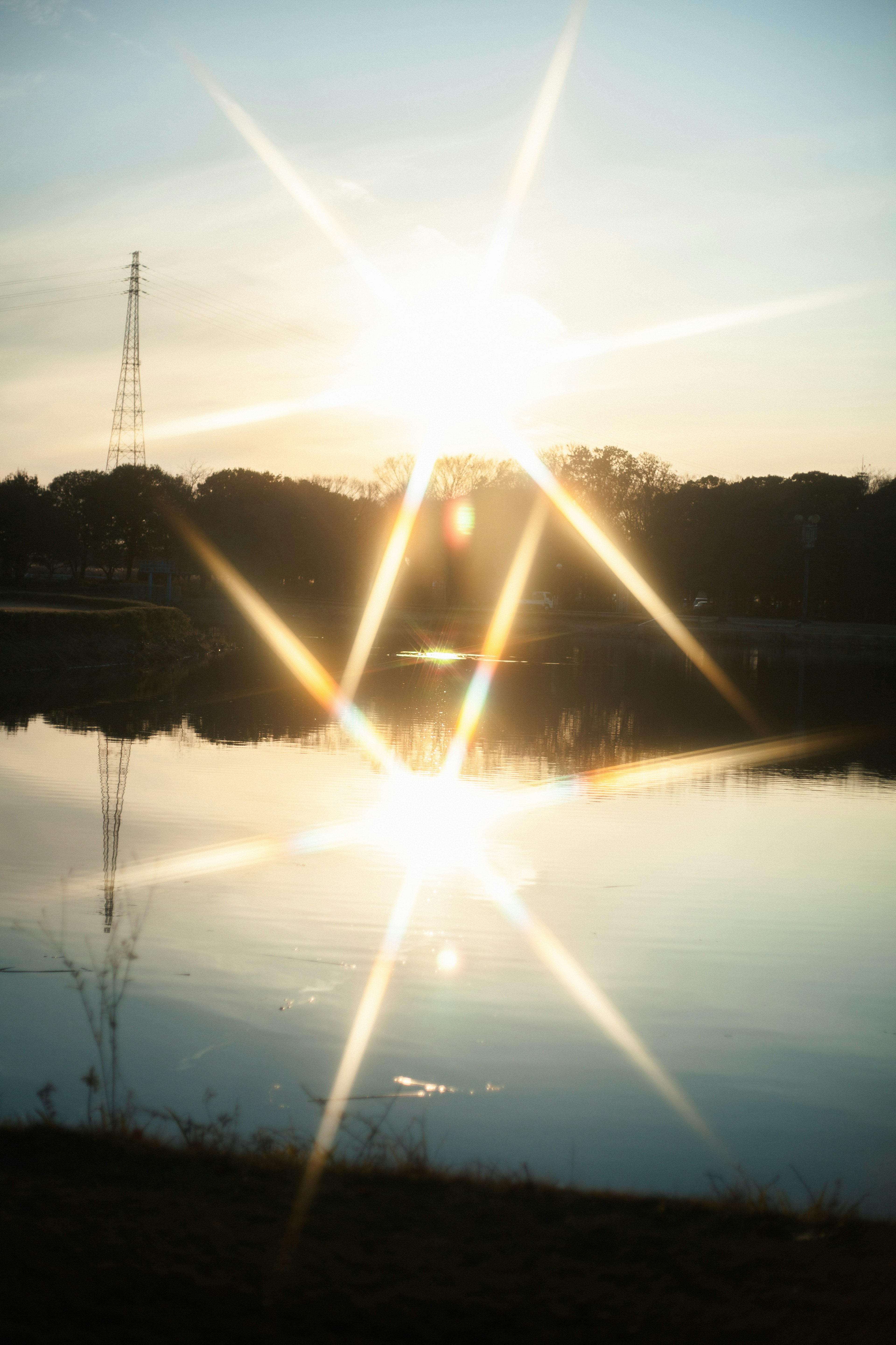 Reflejo en forma de estrella del sol en un lago con árboles al fondo