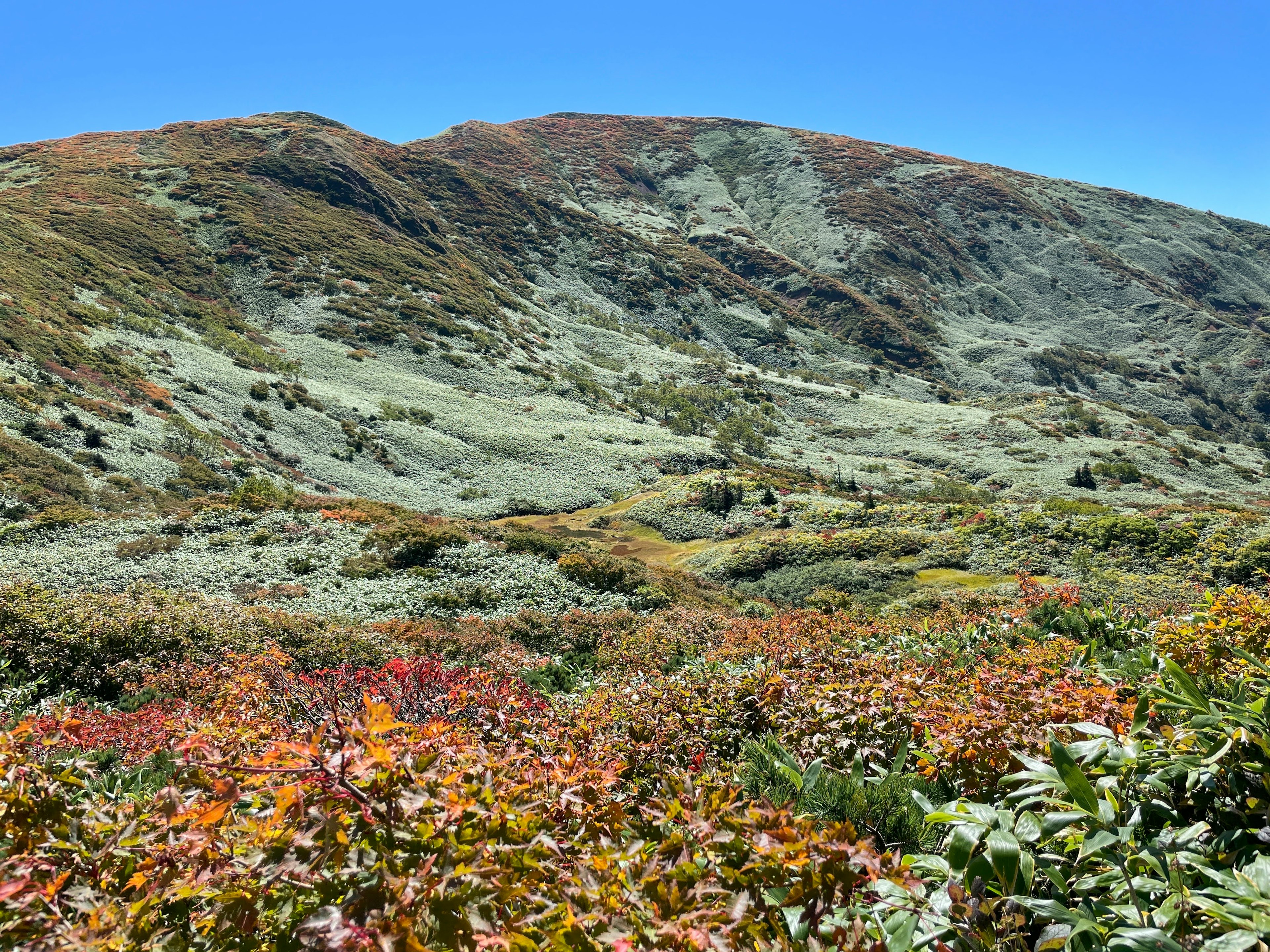 美しい山の風景に広がる色とりどりの草原と青い空