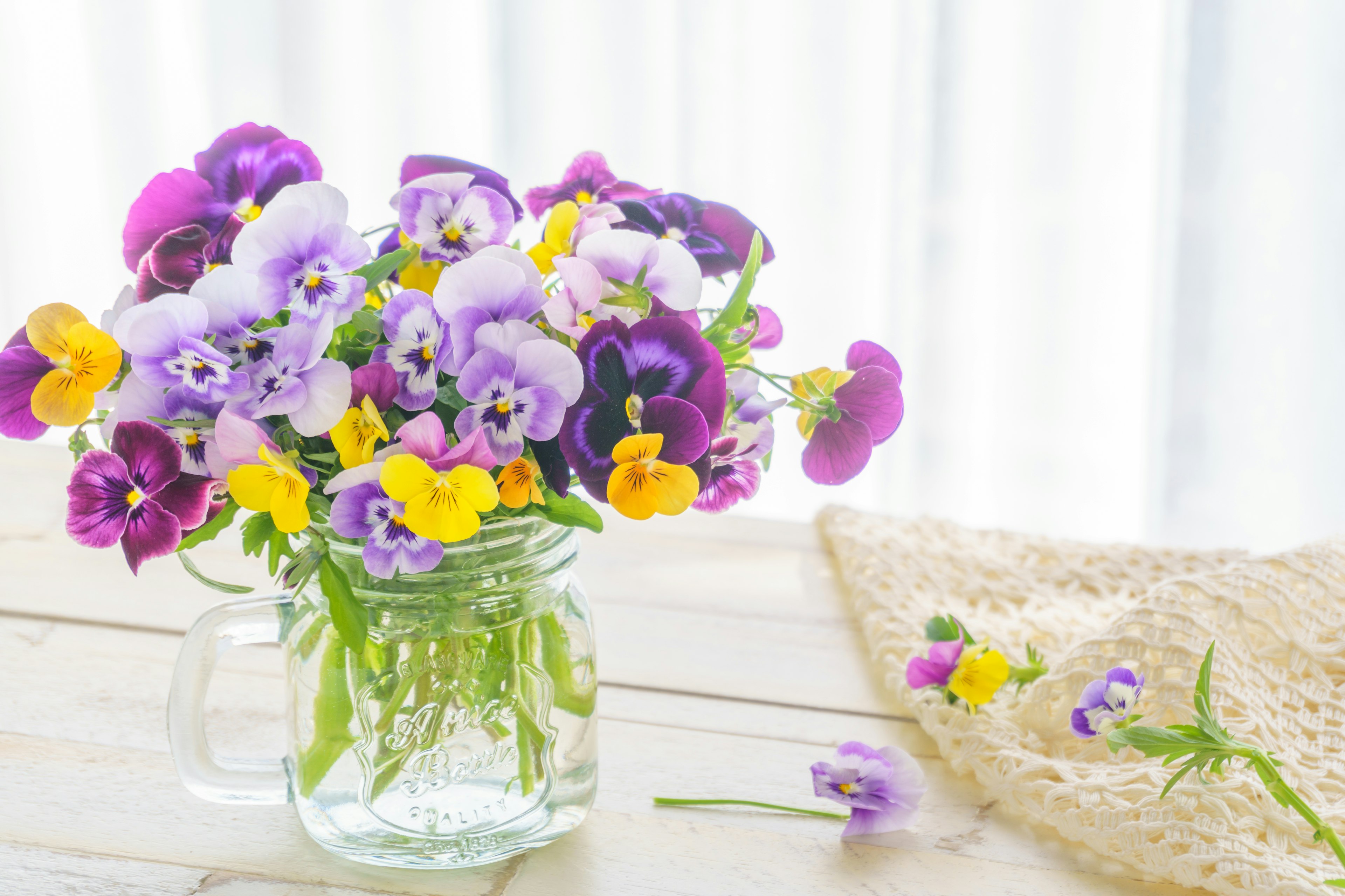 A bouquet of purple and yellow pansies in a clear jar