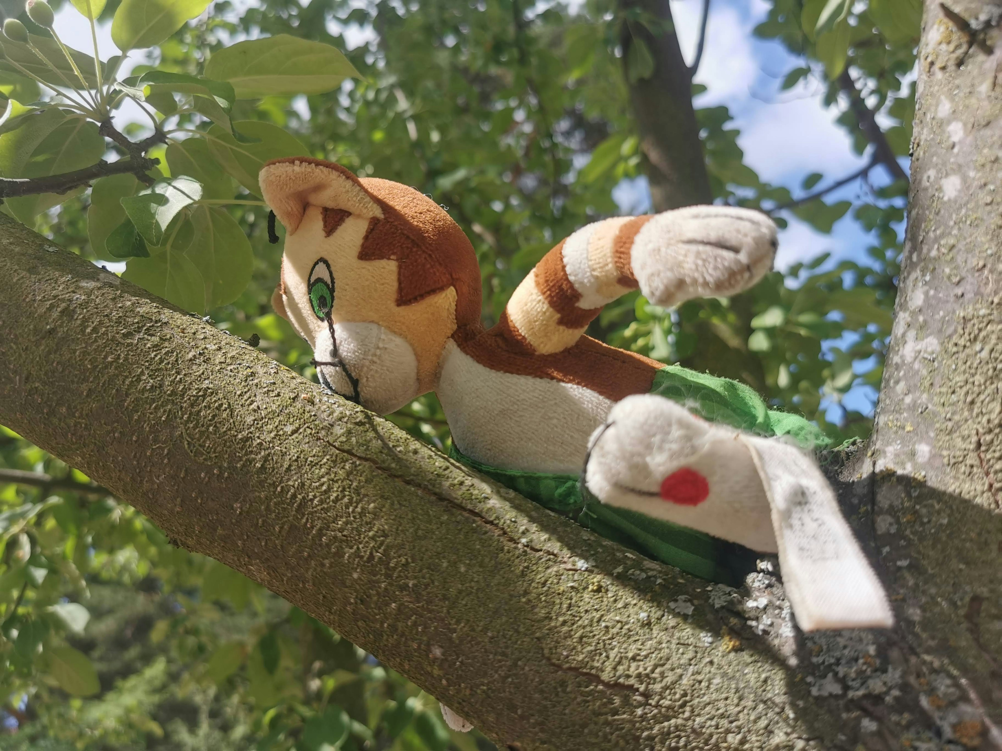 Stuffed cat character on a tree branch wearing green clothes