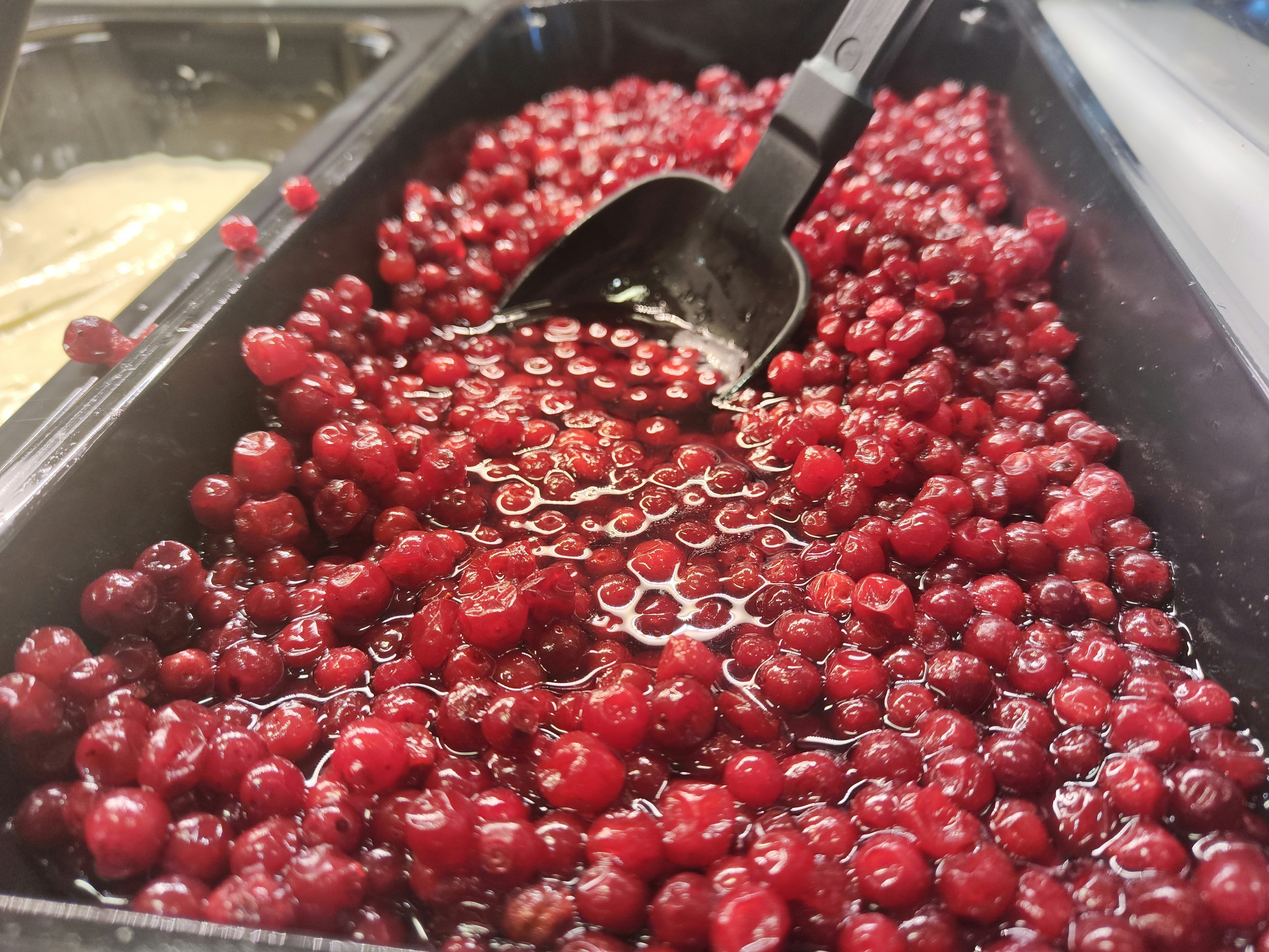 Cranberries rossi vivaci in un contenitore con una paletta