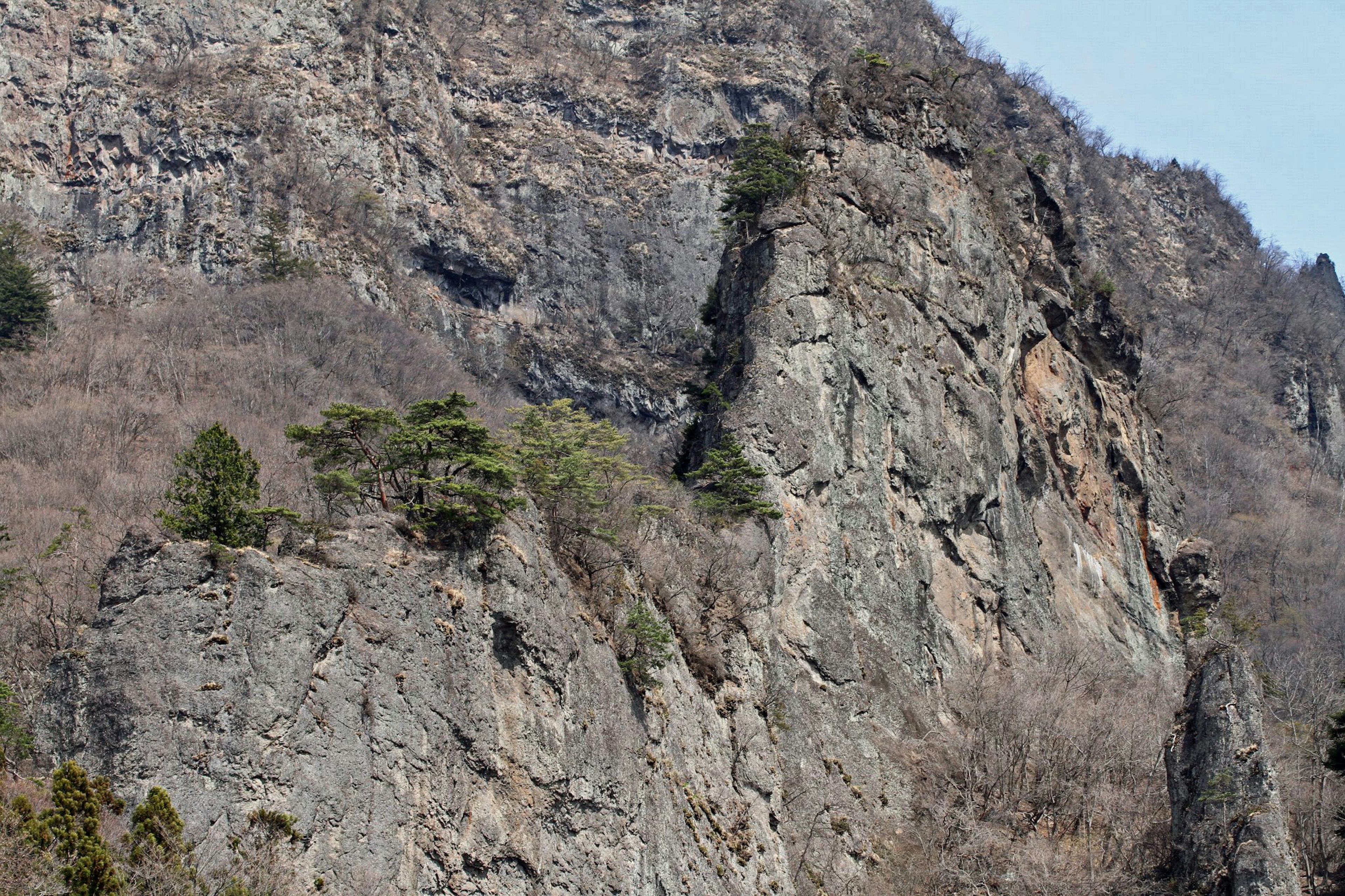 Paesaggio montano con scogliere rocciose e alberi sparsi