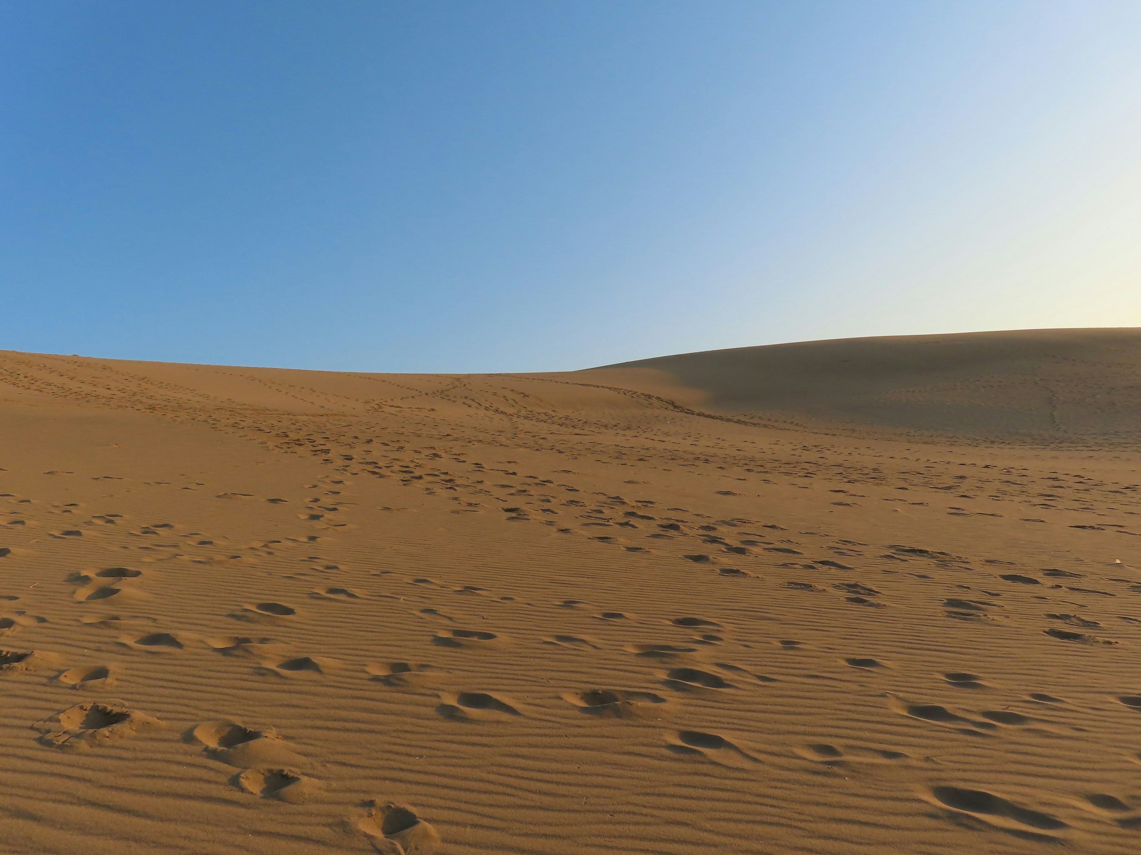 Paesaggio desertico con cielo blu e dune di sabbia impronte sulla sabbia