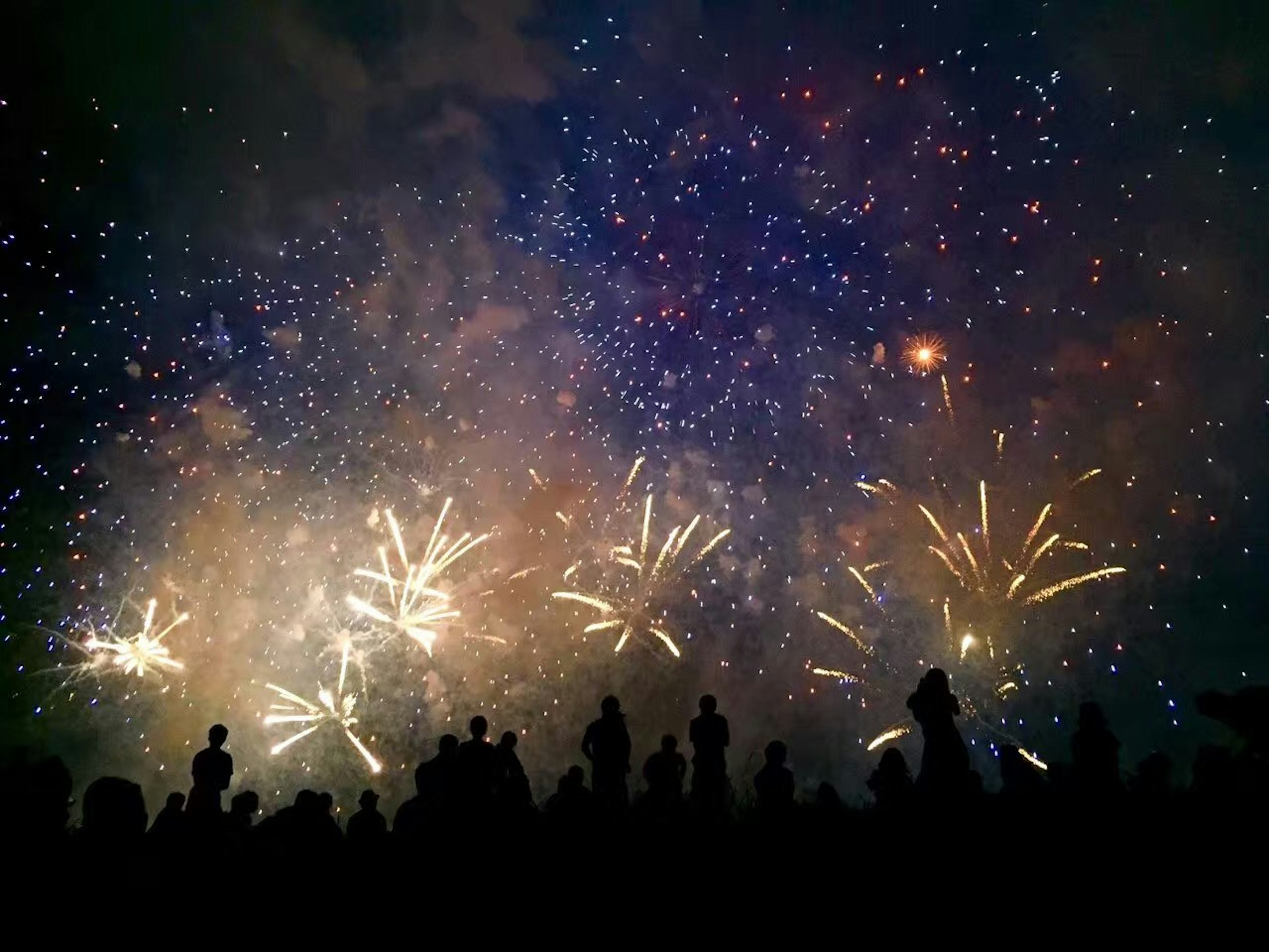 Fireworks lighting up the night sky with silhouetted spectators